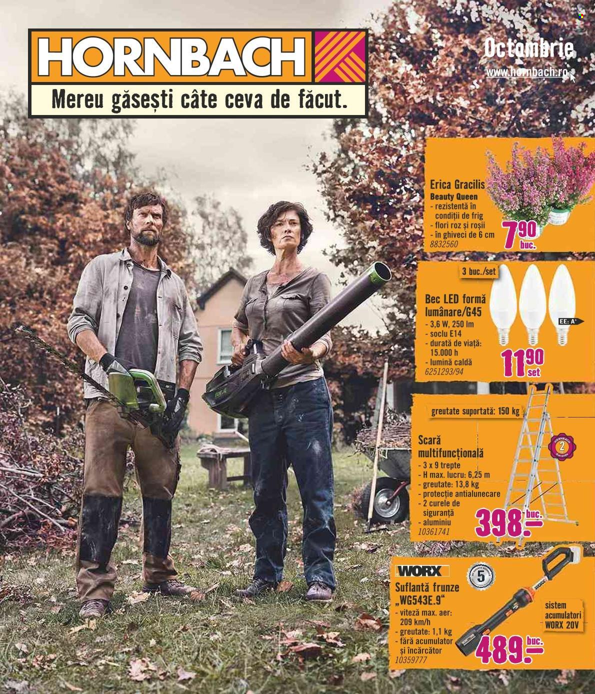 Cataloage Hornbach  - 04.10.2021 - 31.10.2021. Pagina 1.