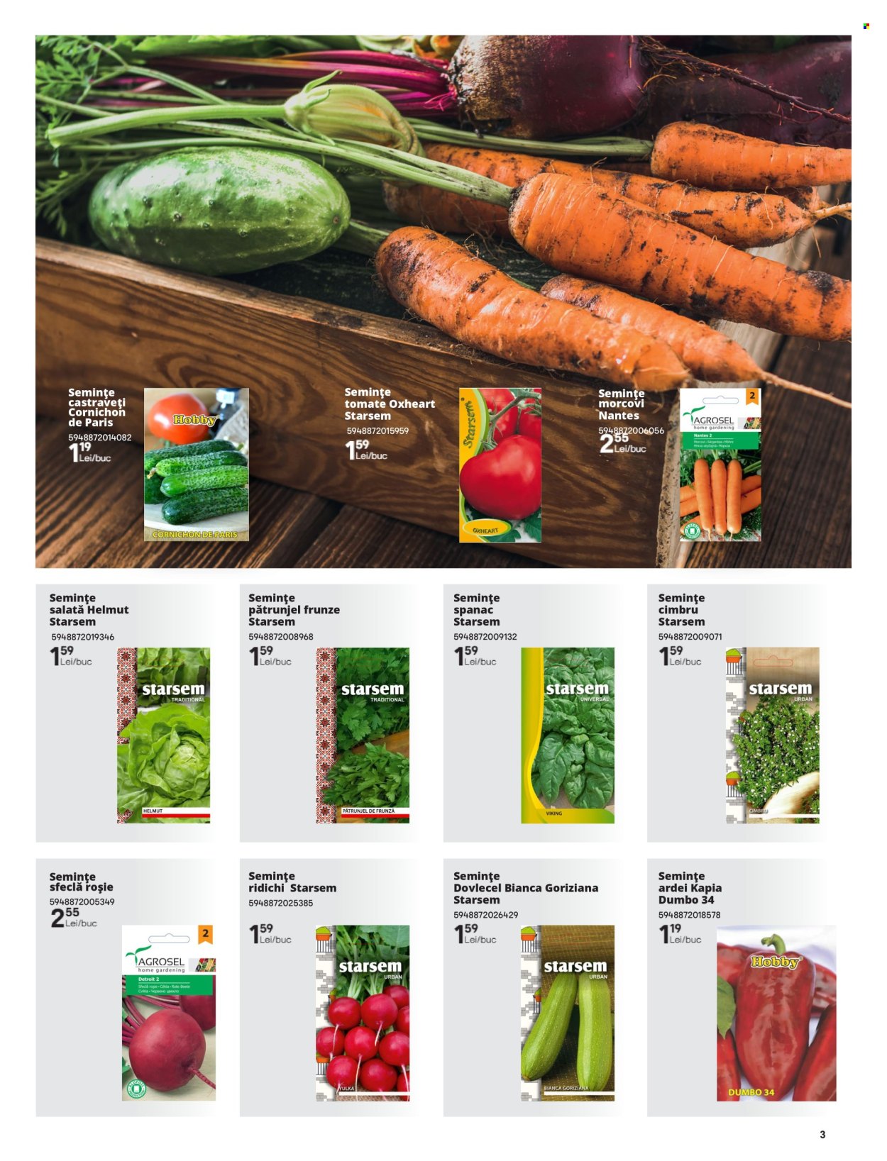 Cataloage Brico Depot  - 14.02.2025 - 31.05.2025. Pagina 3.