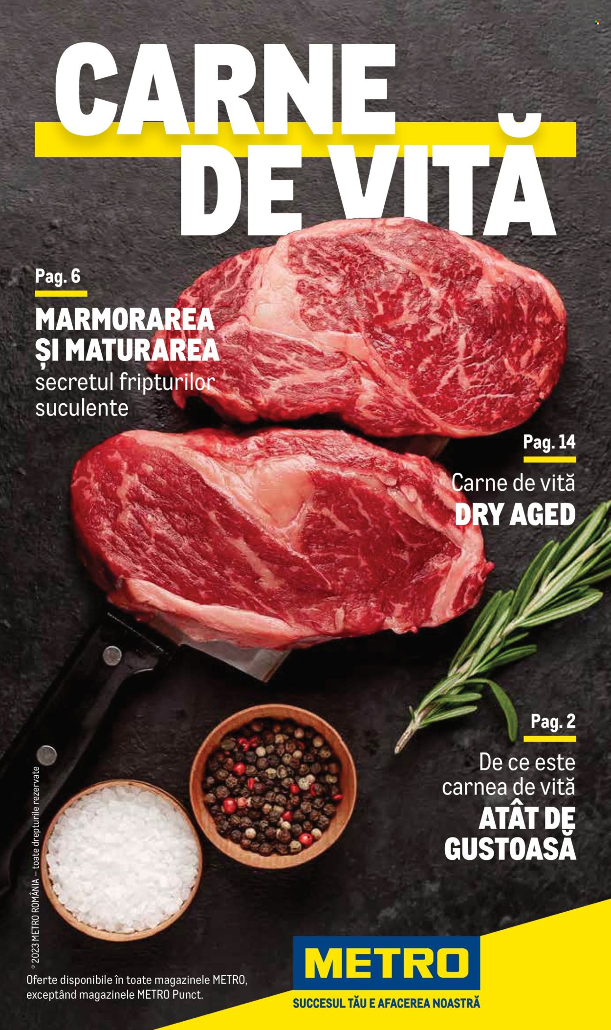 Cataloage Metro  - 20.06.2022 - 31.12.2025. Pagina 1. Pagina 1