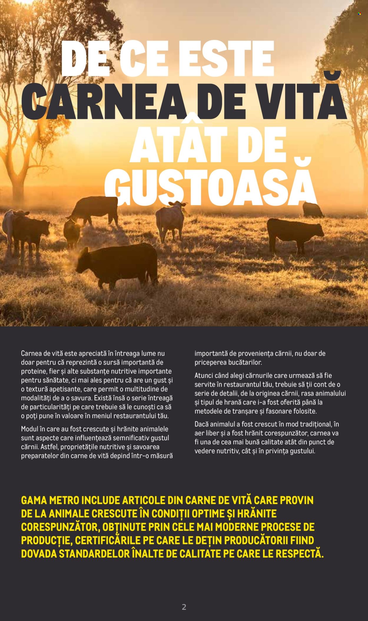 Cataloage Metro  - 20.06.2022 - 31.12.2025. Pagina 2. Pagina 2