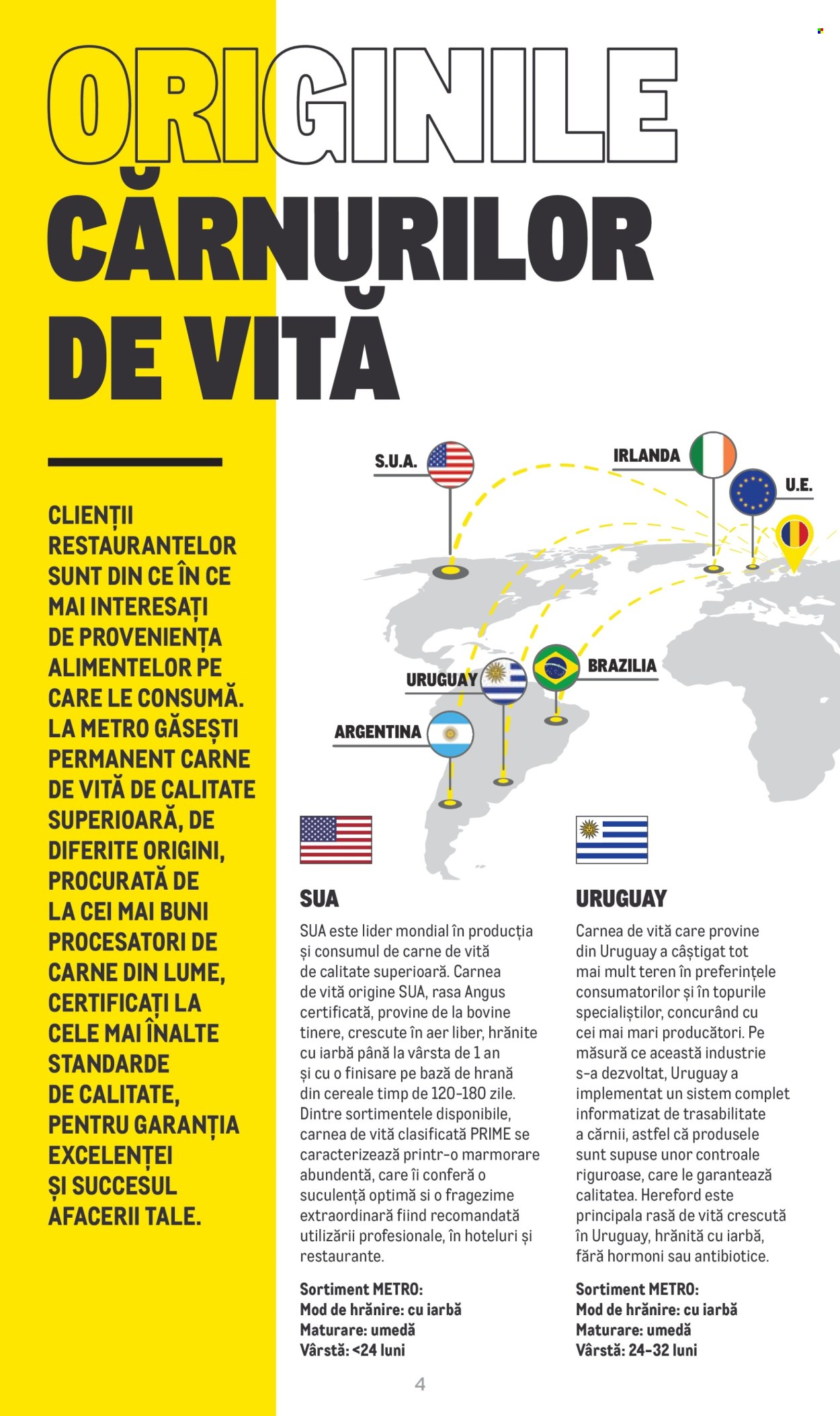 Cataloage Metro  - 20.06.2022 - 31.12.2025. Pagina 4. Pagina 4