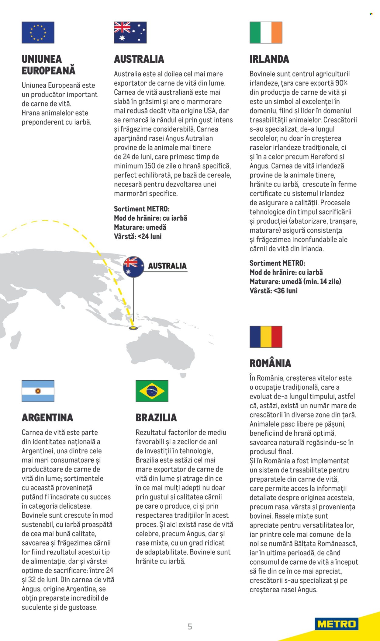 Cataloage Metro  - 20.06.2022 - 31.12.2025. Pagina 5. Pagina 5