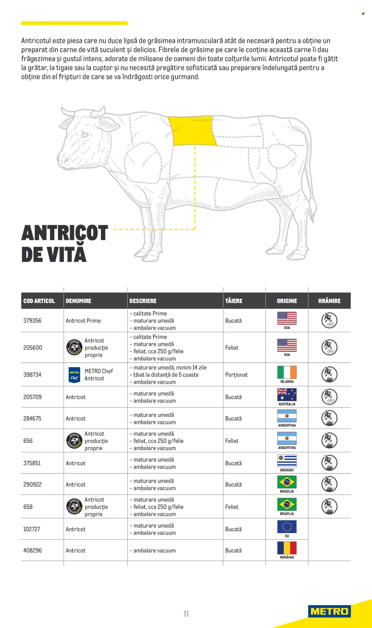 Cataloage Metro  - 20.06.2022 - 31.12.2025. Pagina 11. Pagina 11