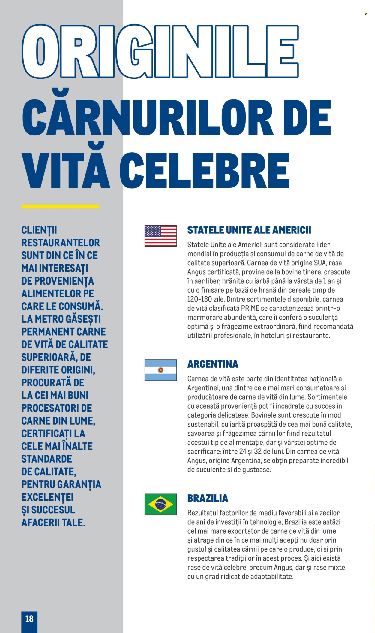 Cataloage Metro  - 01.01.2024 - 31.12.2025. Pagina 18.