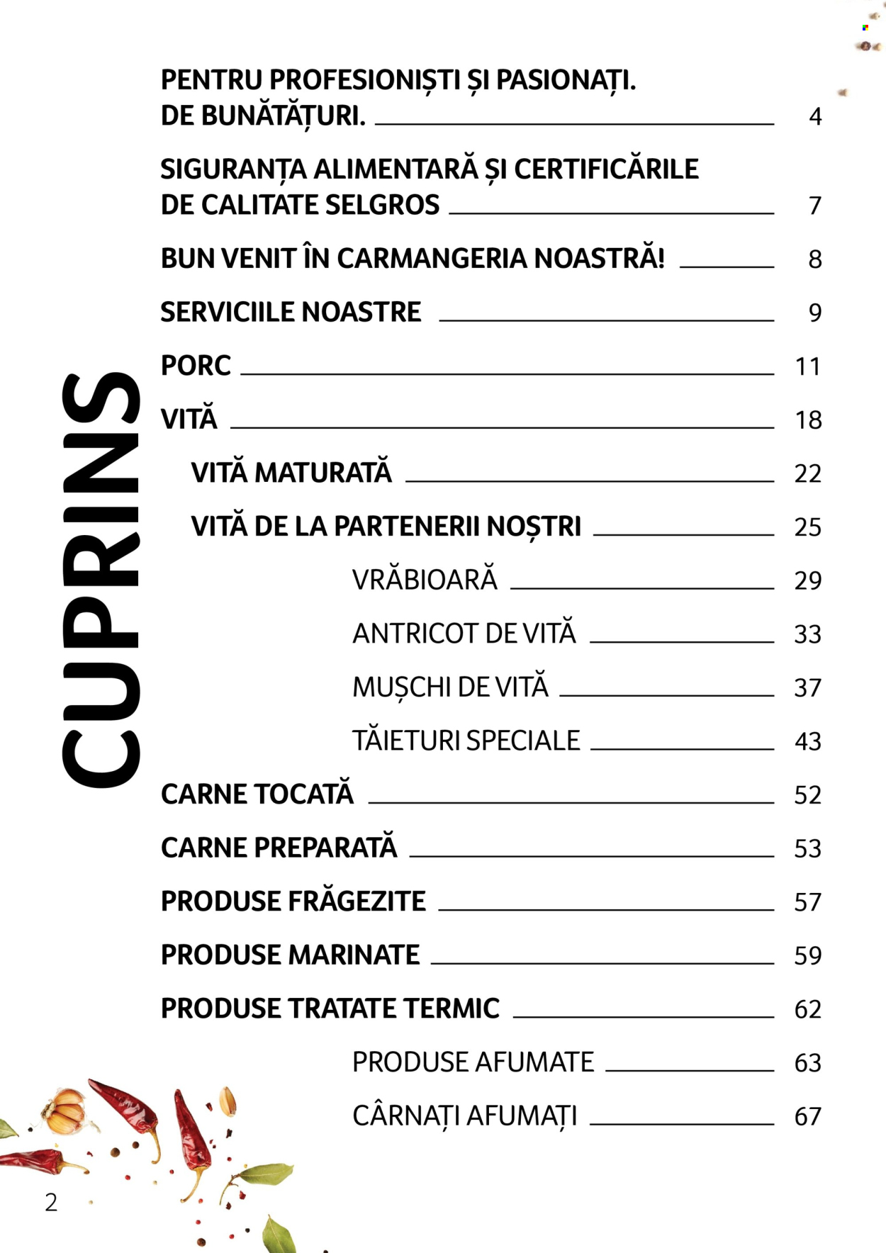 Cataloage Selgros . Pagina 2.
