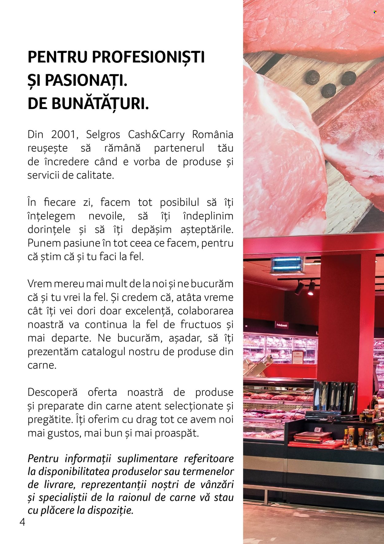 Cataloage Selgros . Pagina 4.