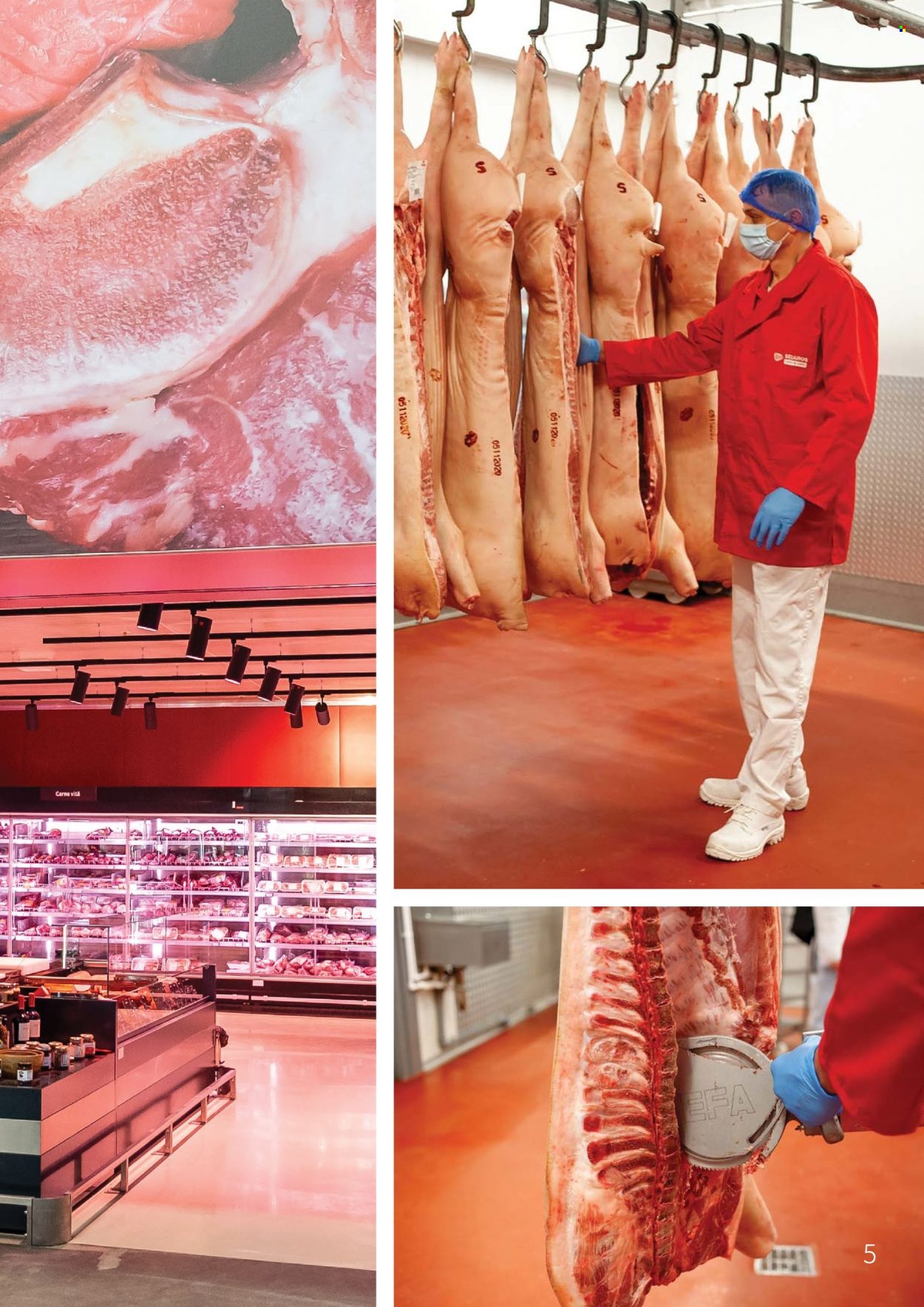 Cataloage Selgros . Pagina 5.