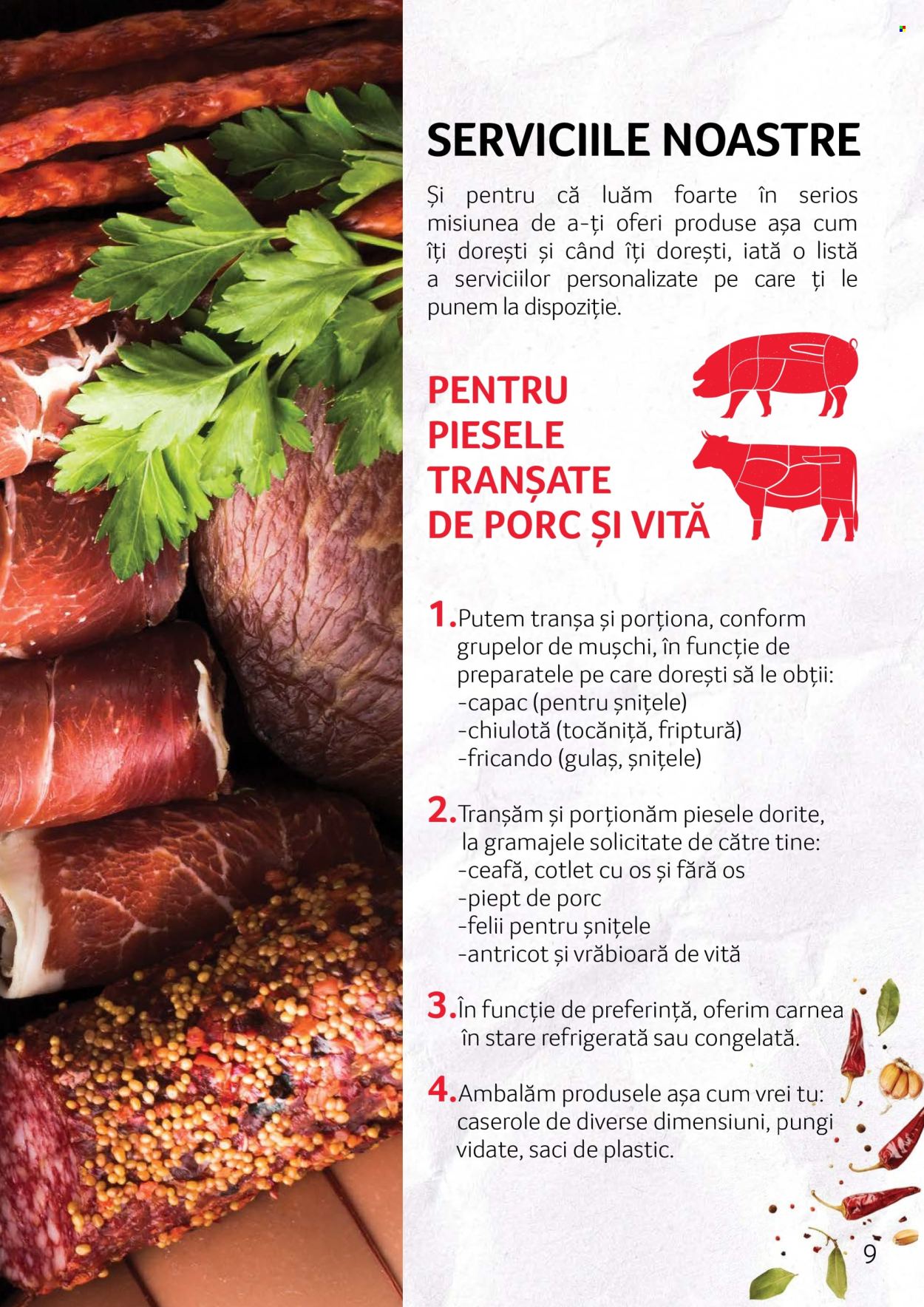 Cataloage Selgros . Pagina 9.