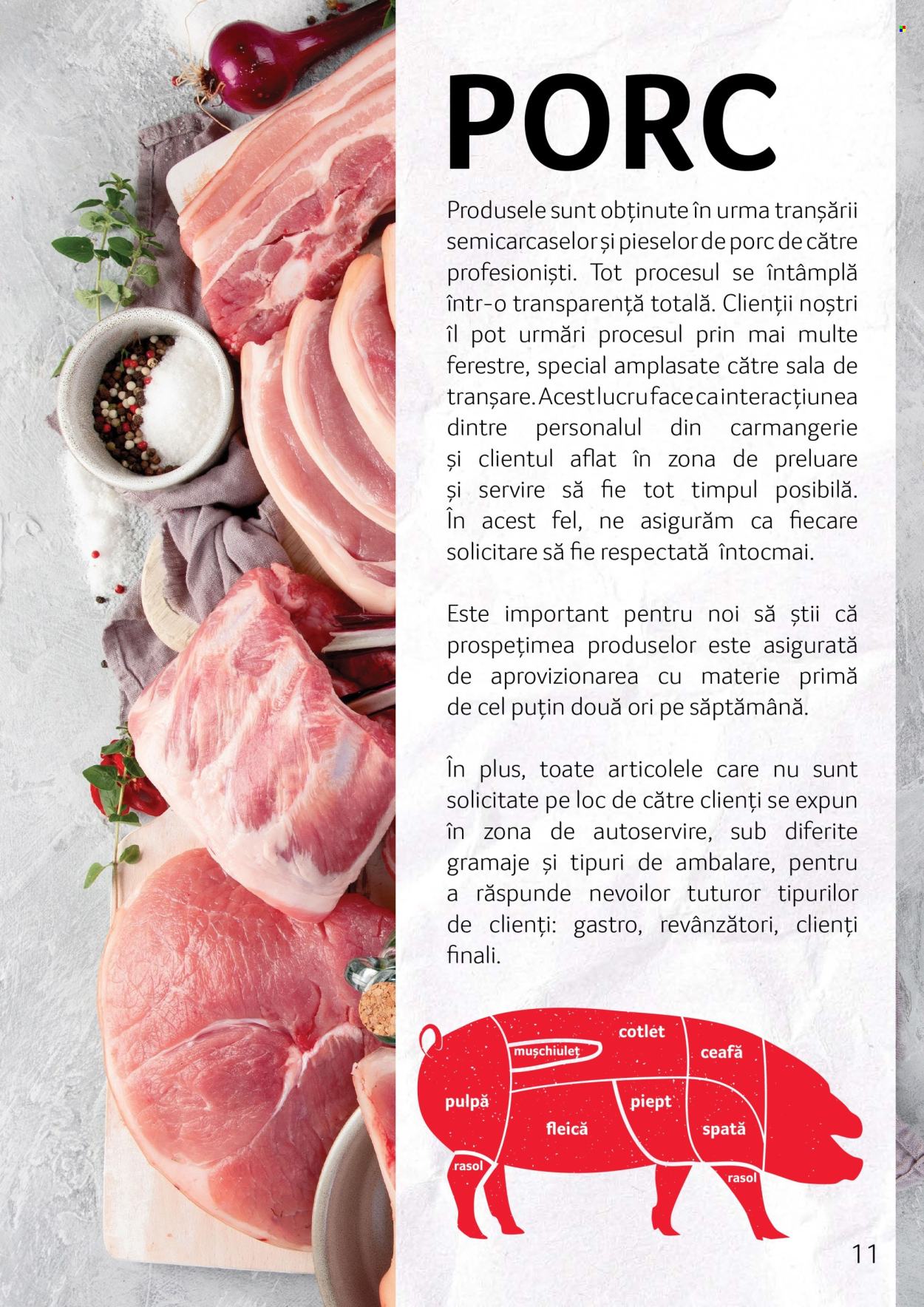 Cataloage Selgros . Pagina 11.