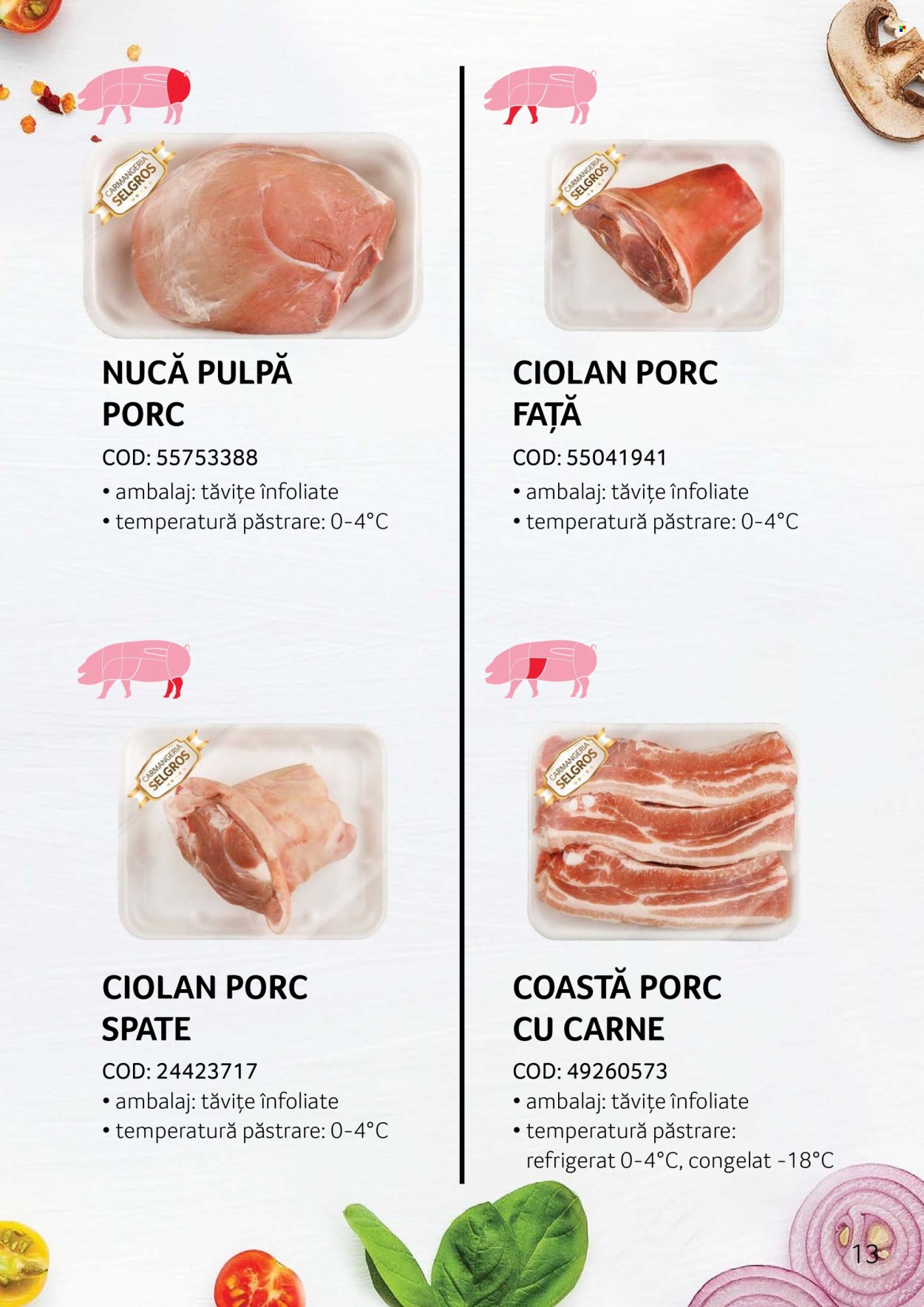 Cataloage Selgros . Pagina 13.