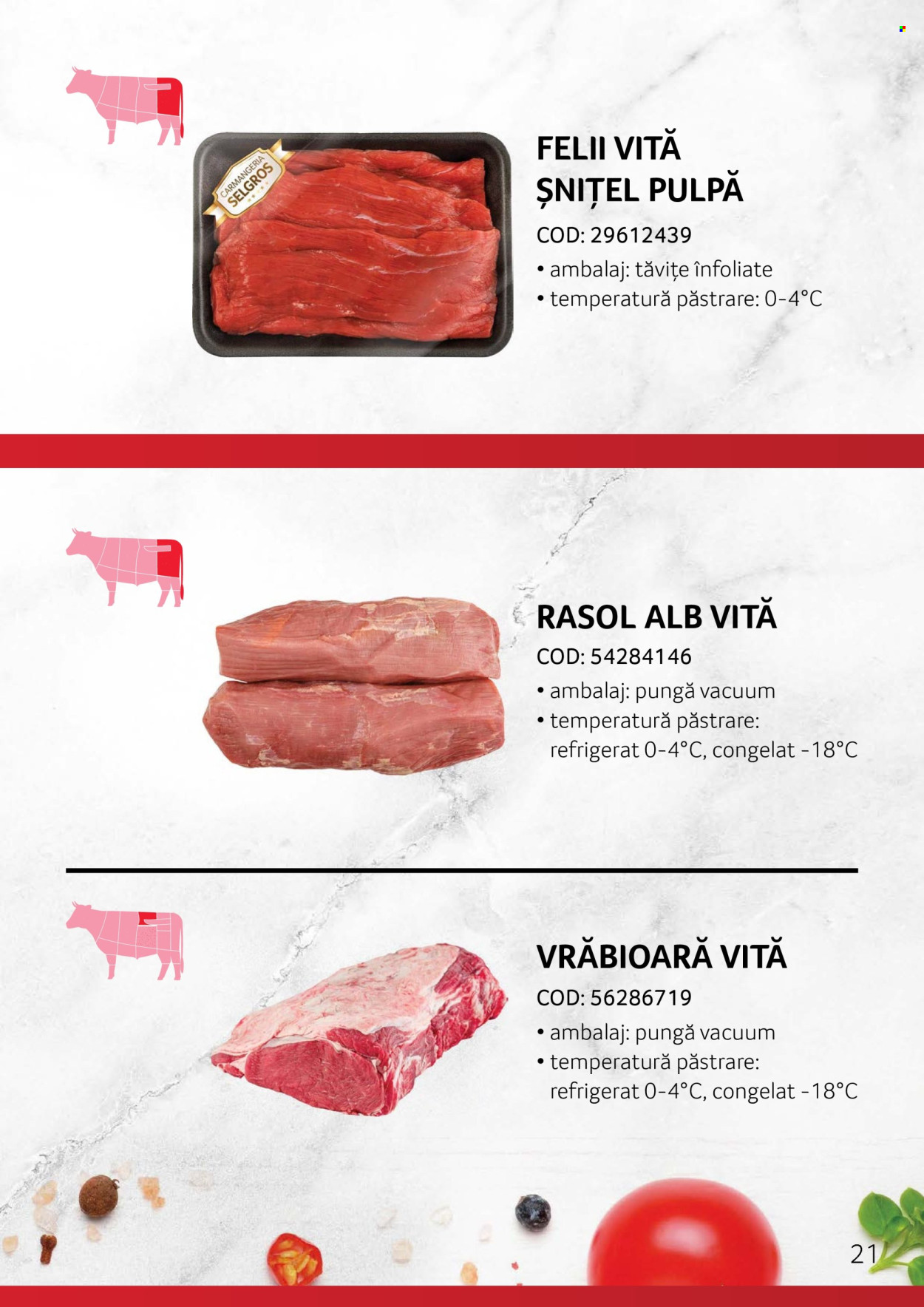 Cataloage Selgros . Pagina 21.