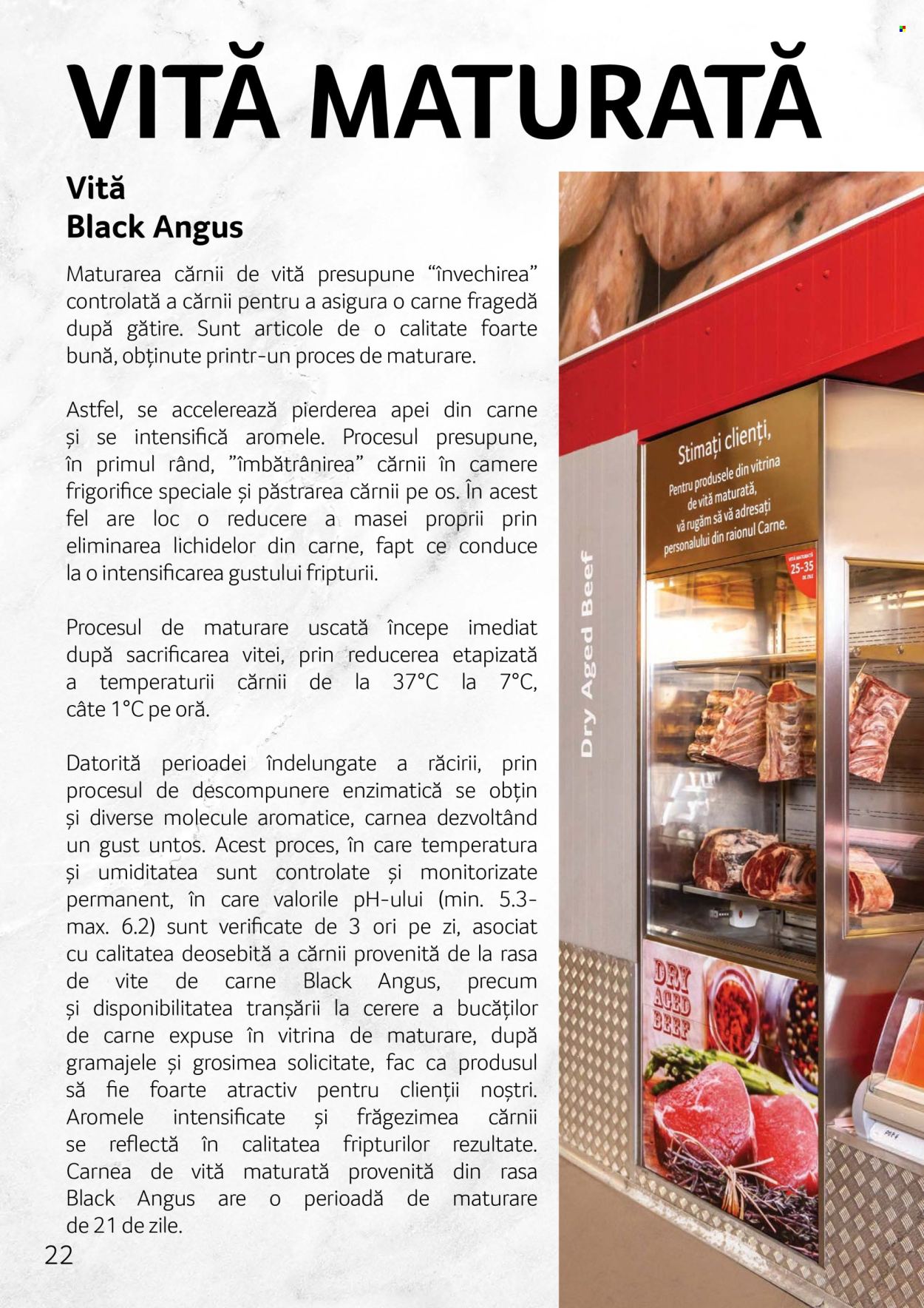 Cataloage Selgros . Pagina 22.