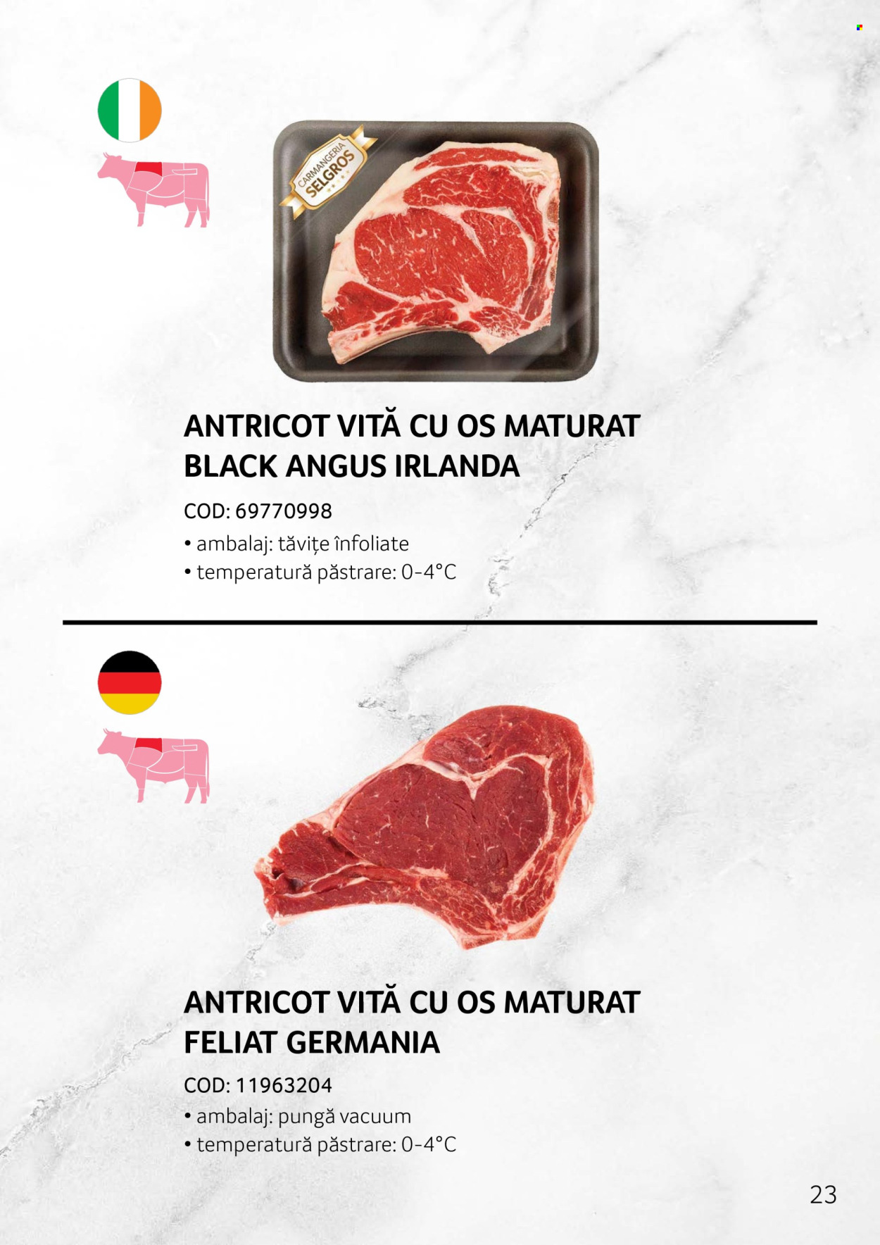 Cataloage Selgros . Pagina 23.