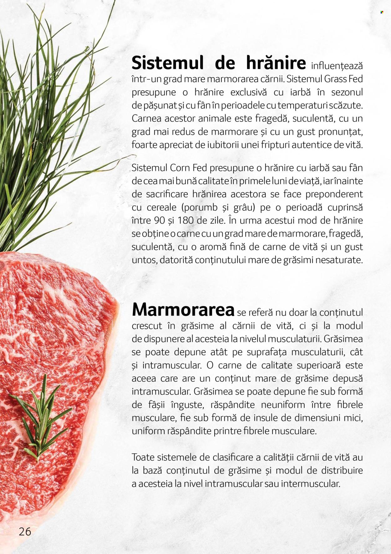 Cataloage Selgros . Pagina 26.