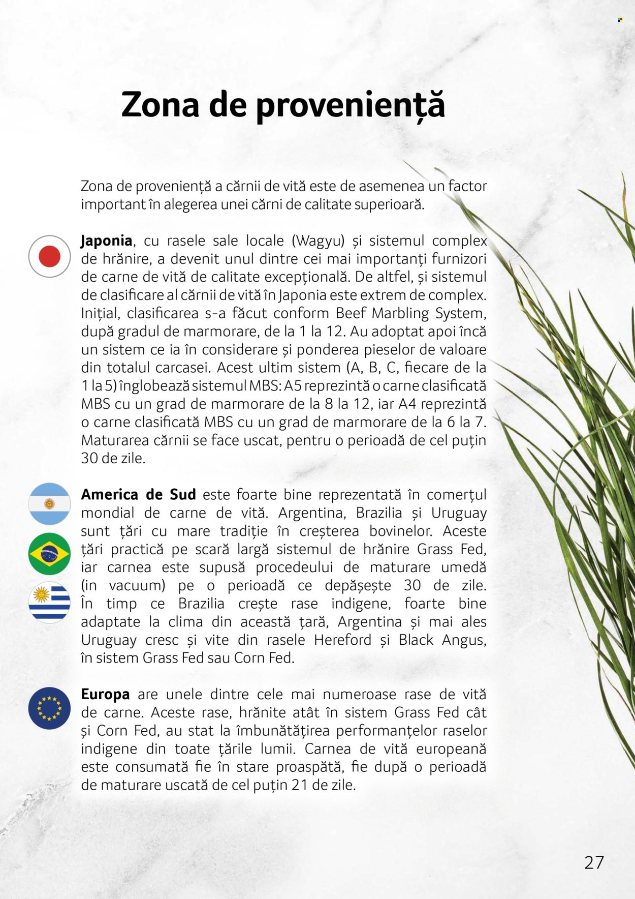 Cataloage Selgros . Pagina 27.