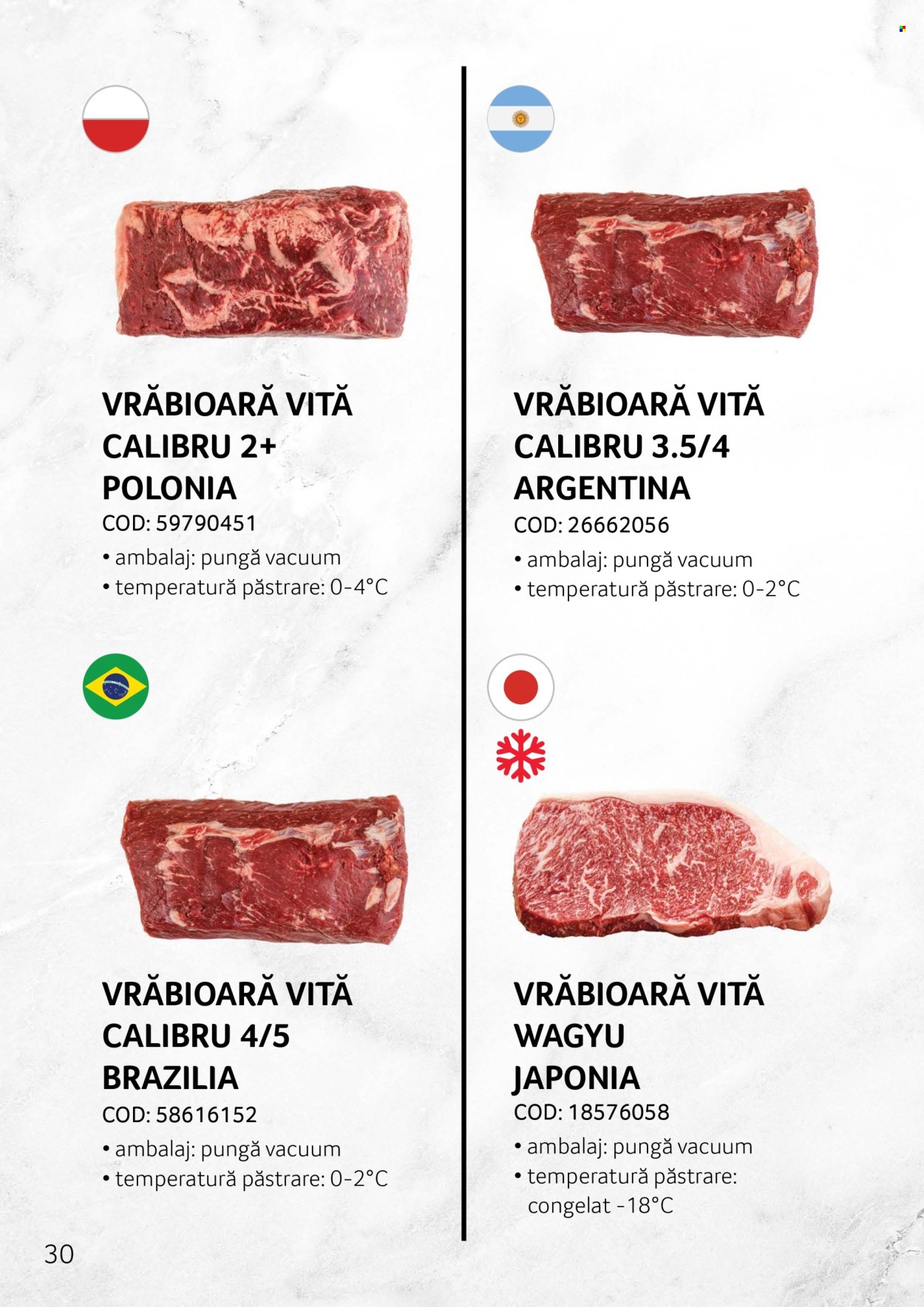 Cataloage Selgros . Pagina 30.