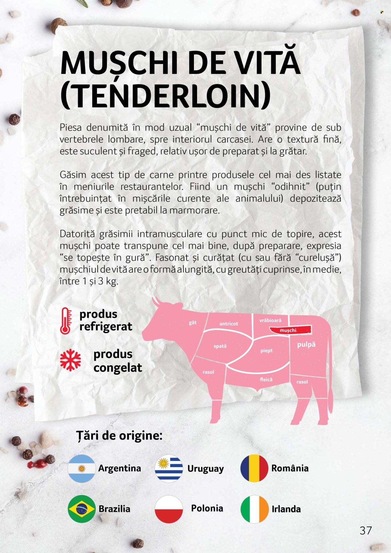 Cataloage Selgros . Pagina 37.