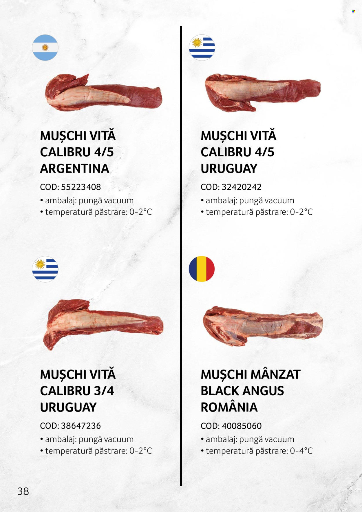 Cataloage Selgros . Pagina 38.