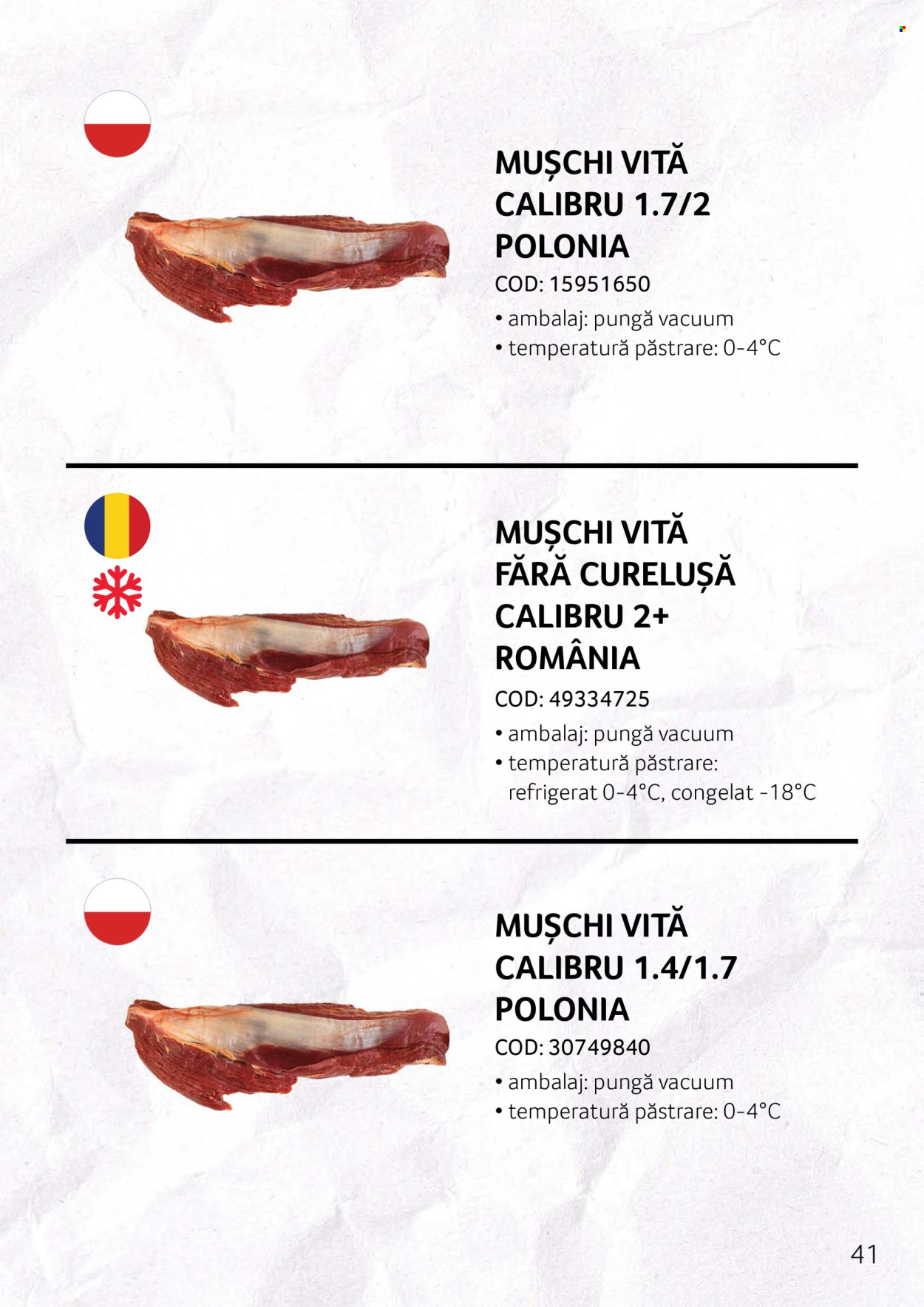 Cataloage Selgros . Pagina 41.