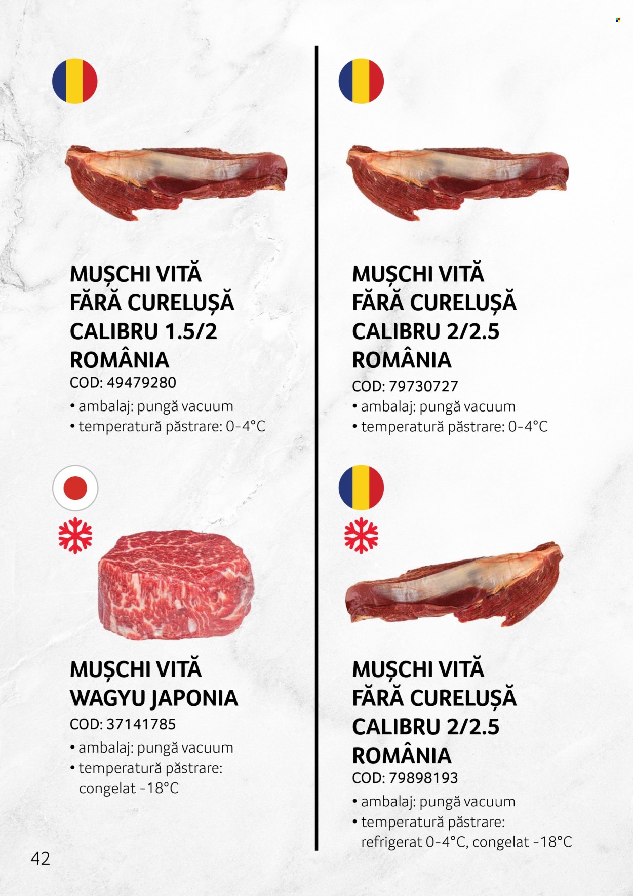 Cataloage Selgros . Pagina 42.