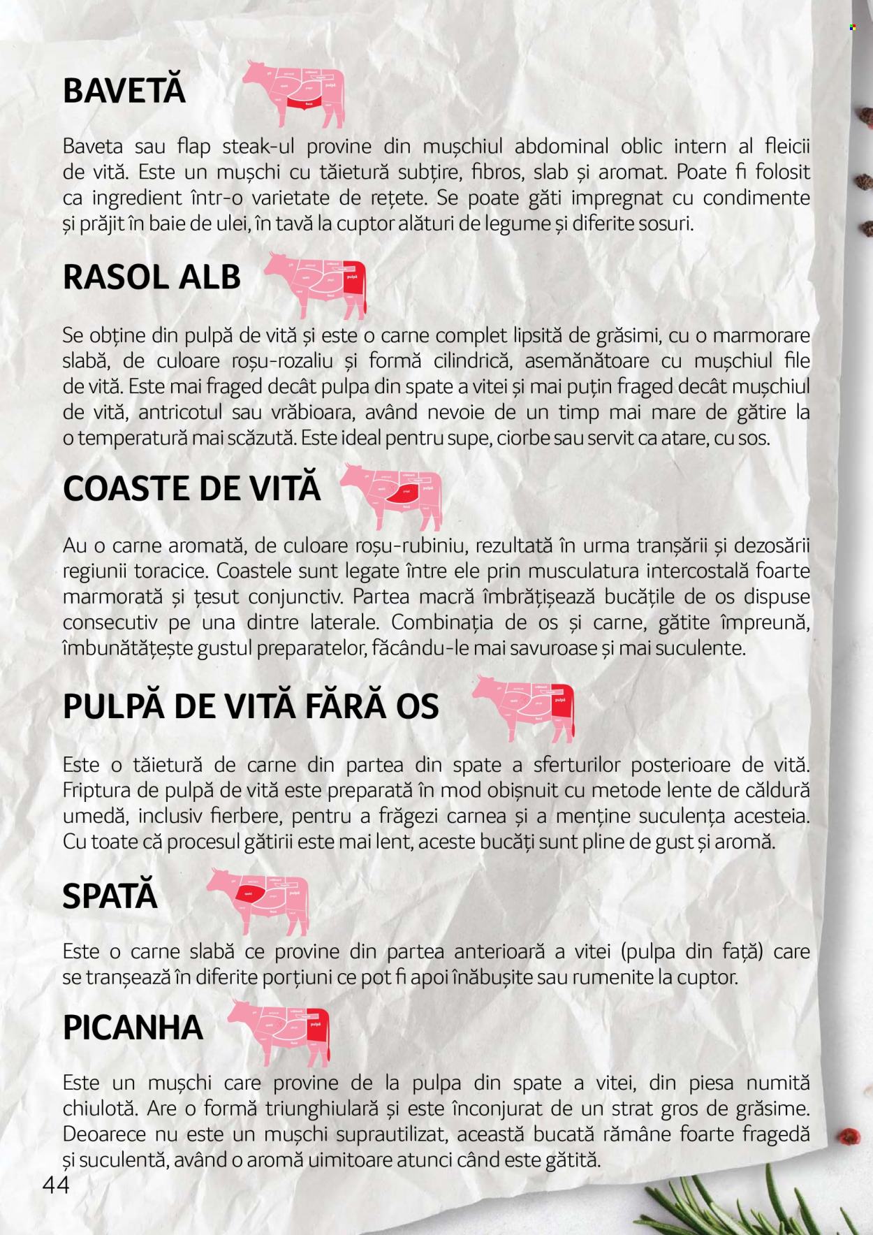 Cataloage Selgros . Pagina 44.