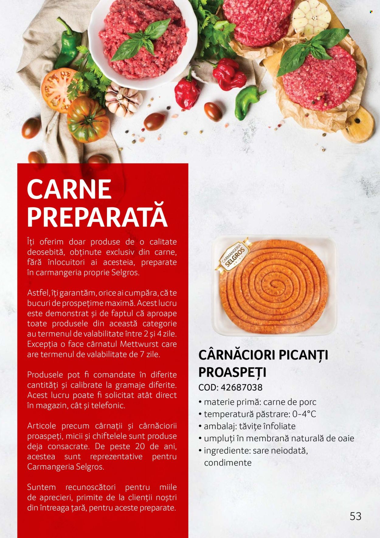 Cataloage Selgros . Pagina 53.