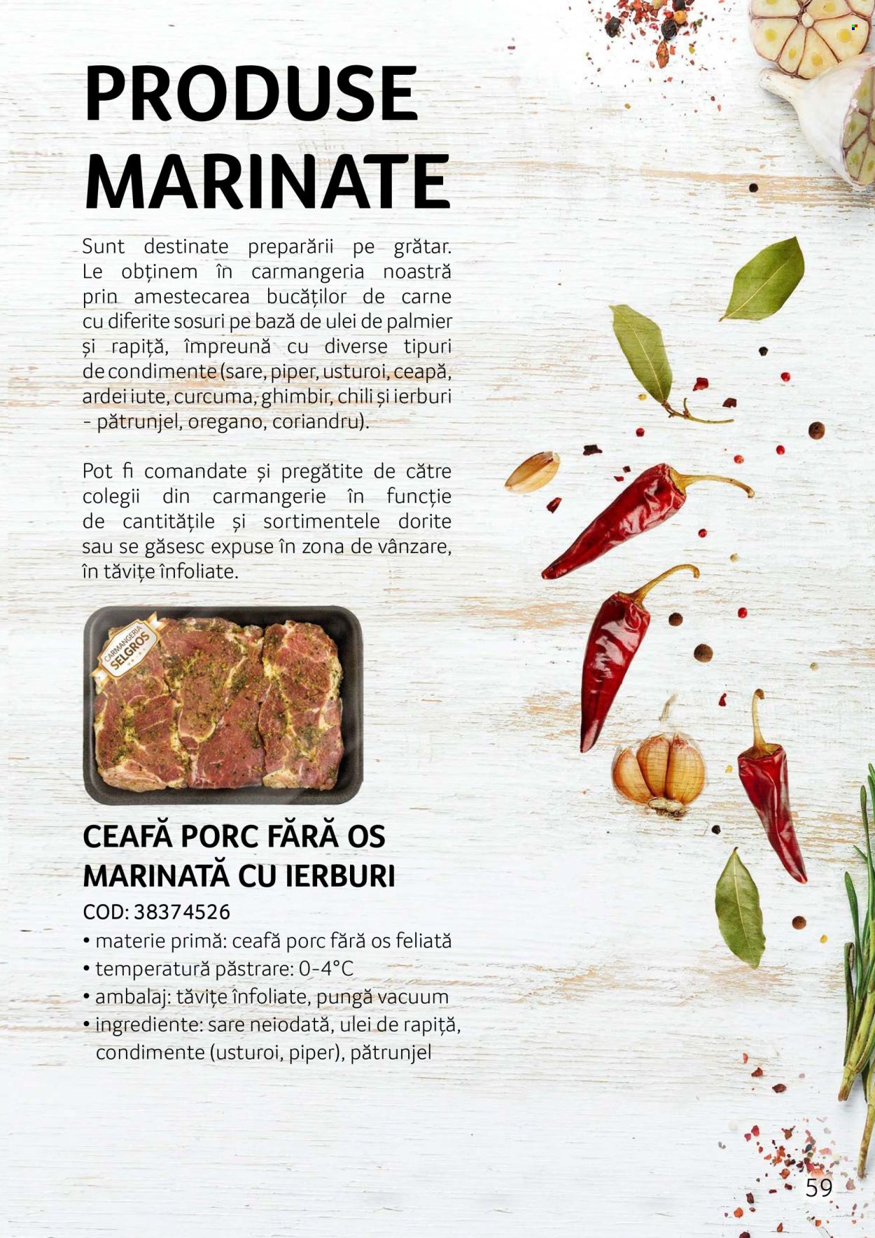 Cataloage Selgros . Pagina 59.