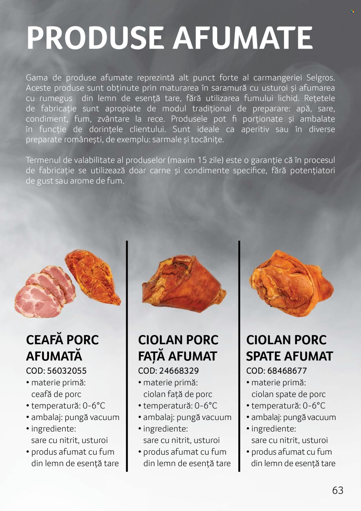 Cataloage Selgros . Pagina 63.
