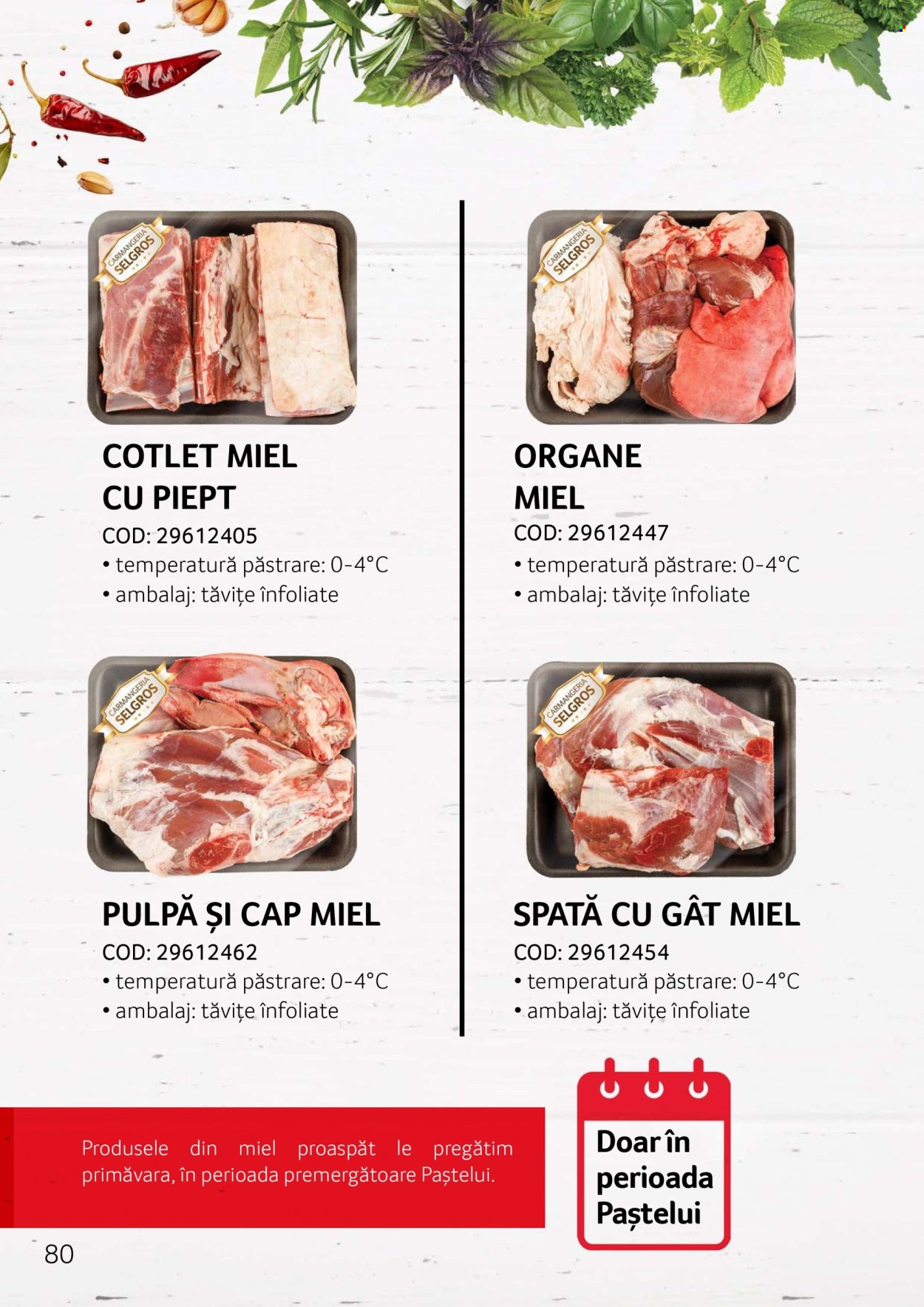 Cataloage Selgros . Pagina 80.