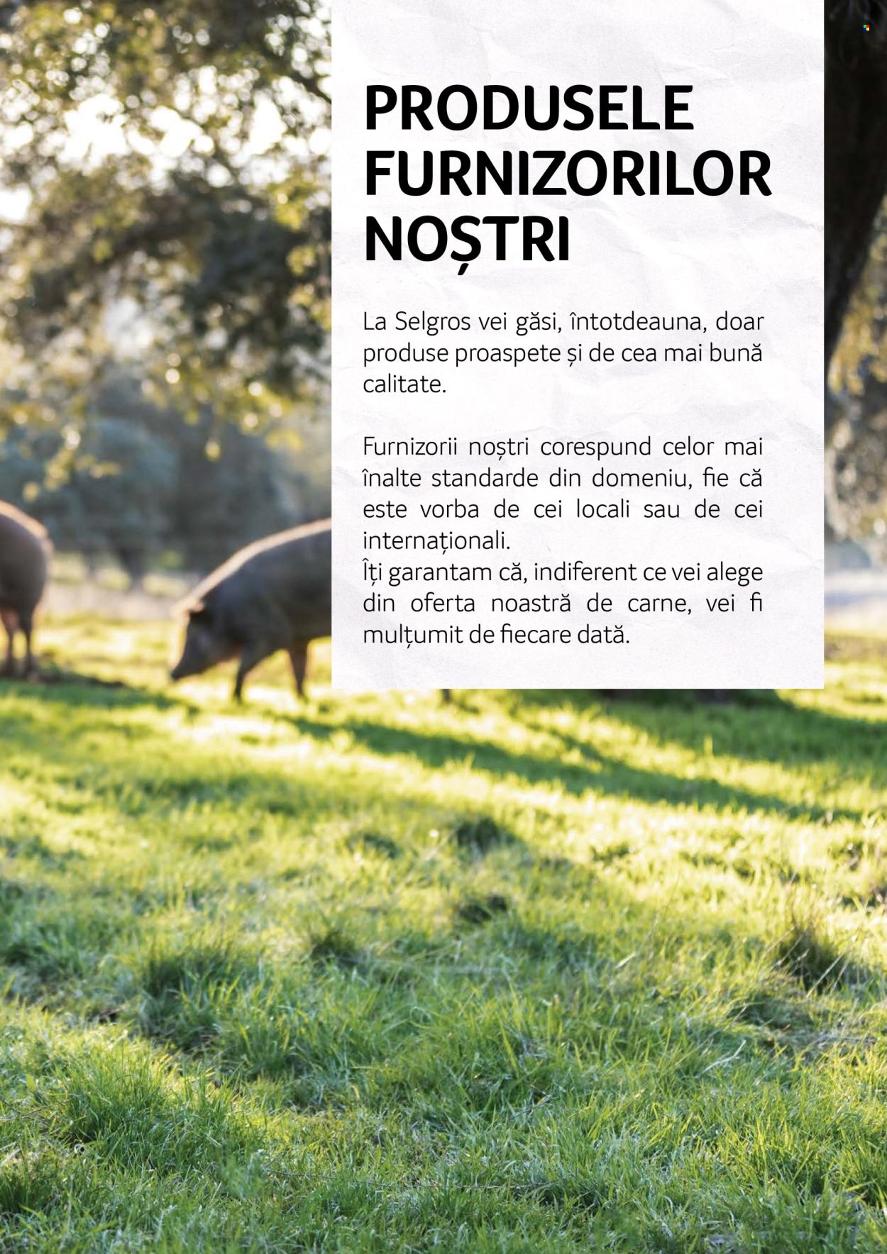 Cataloage Selgros . Pagina 85.