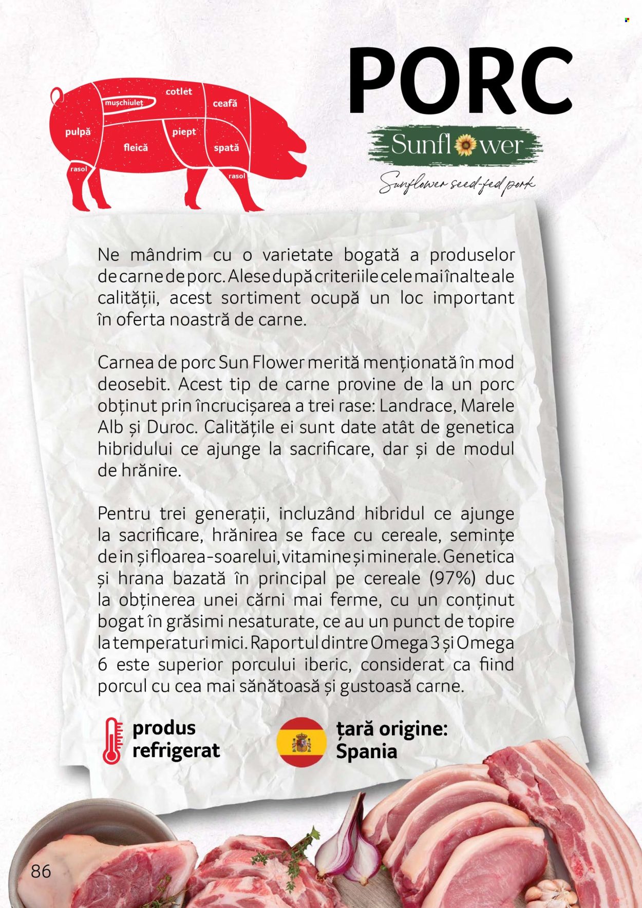 Cataloage Selgros . Pagina 86.