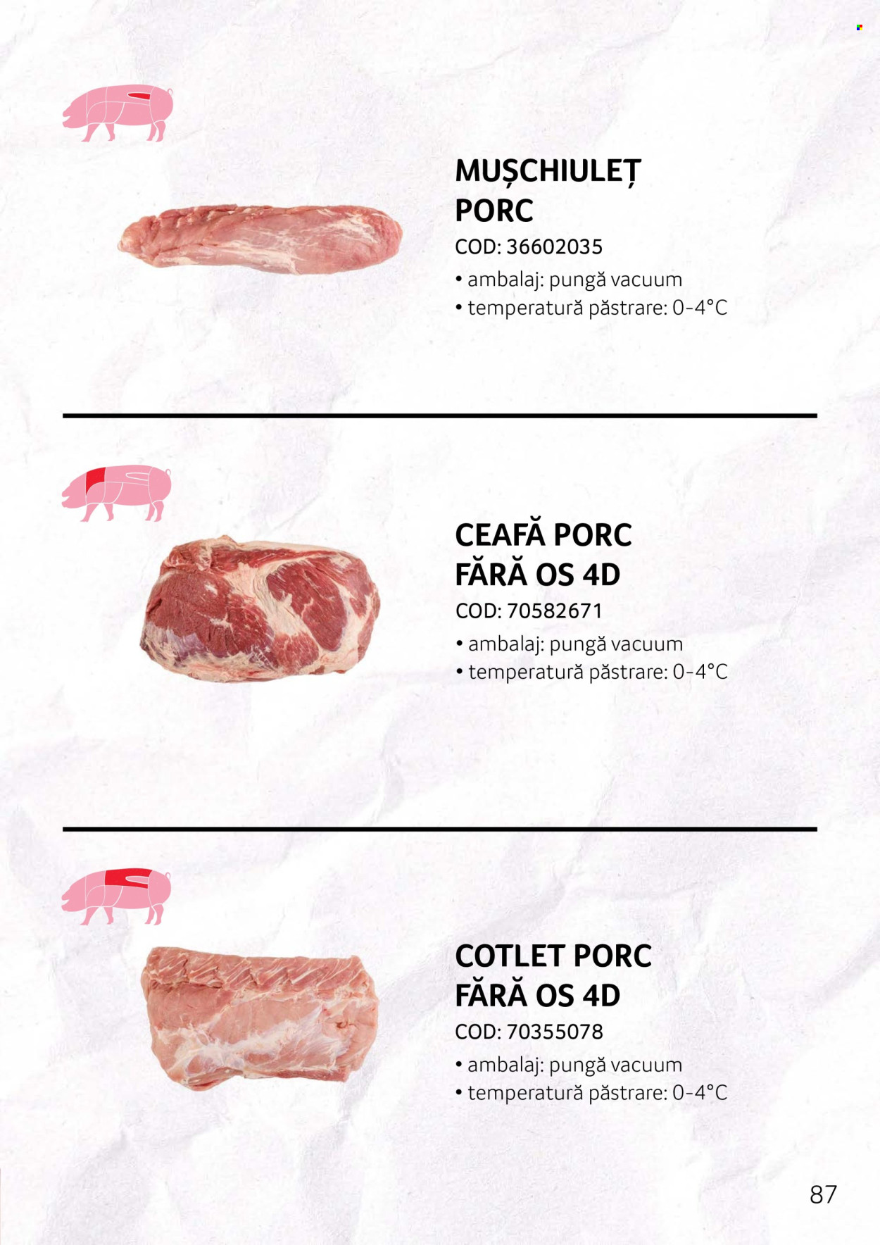 Cataloage Selgros . Pagina 87.