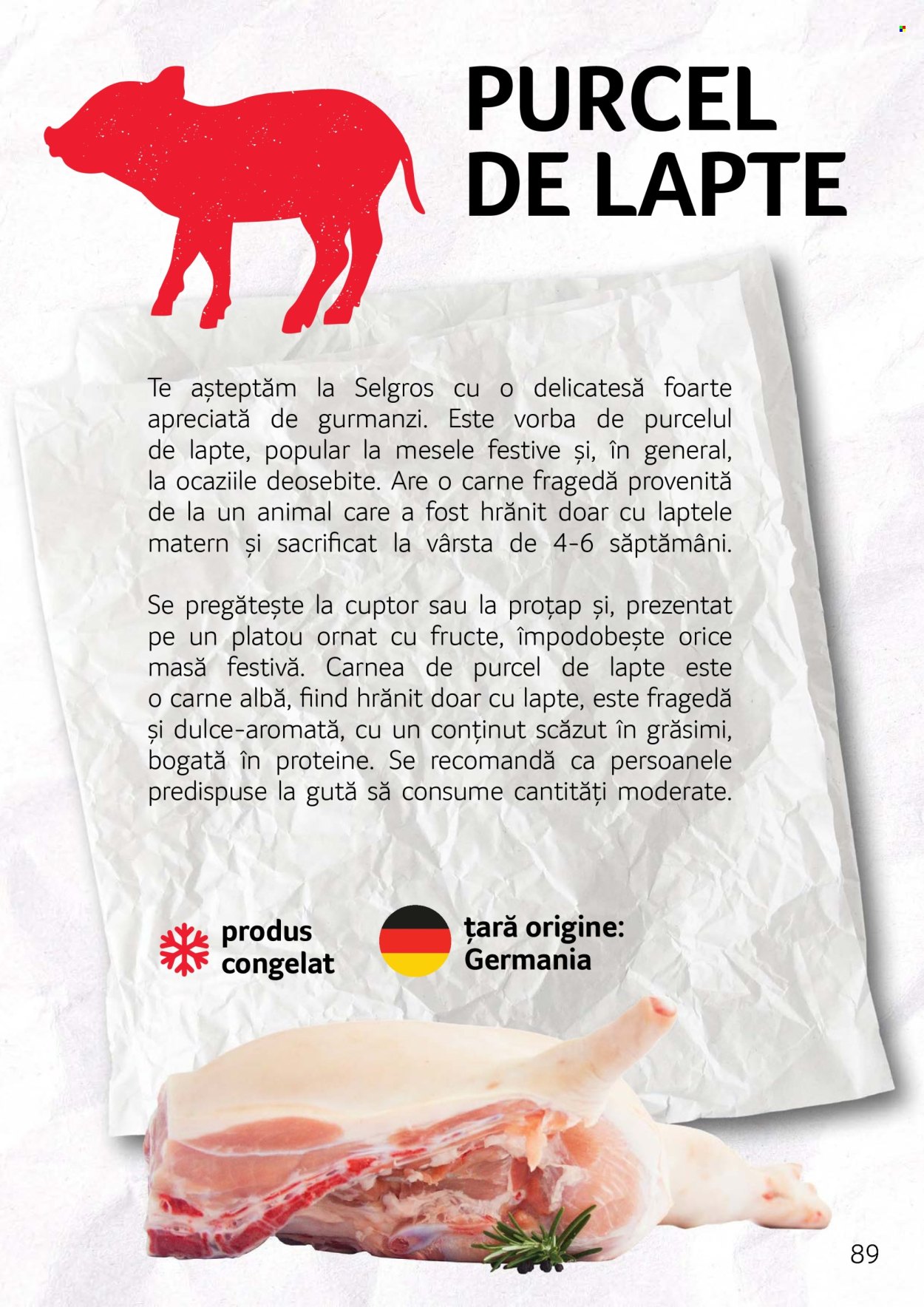 Cataloage Selgros . Pagina 89.