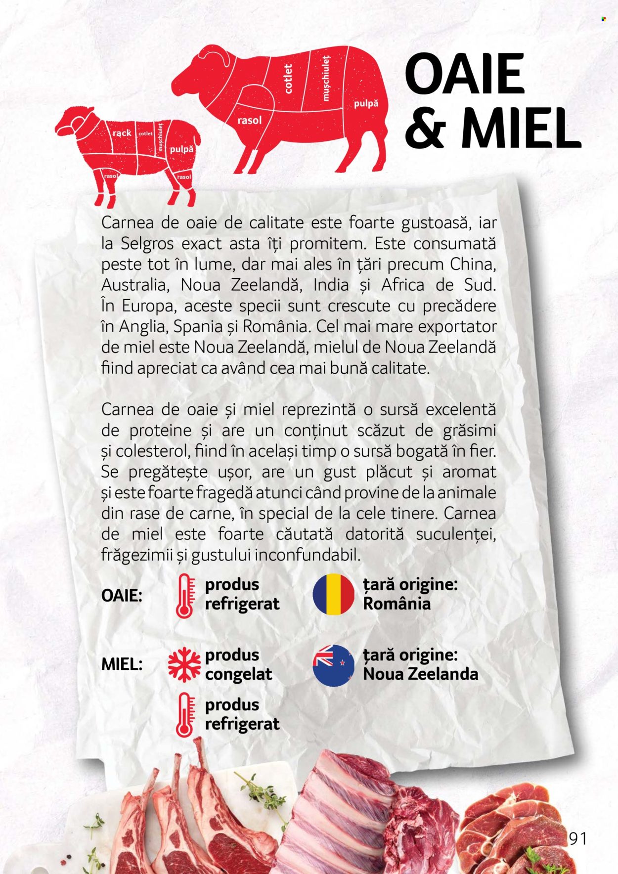 Cataloage Selgros . Pagina 91.