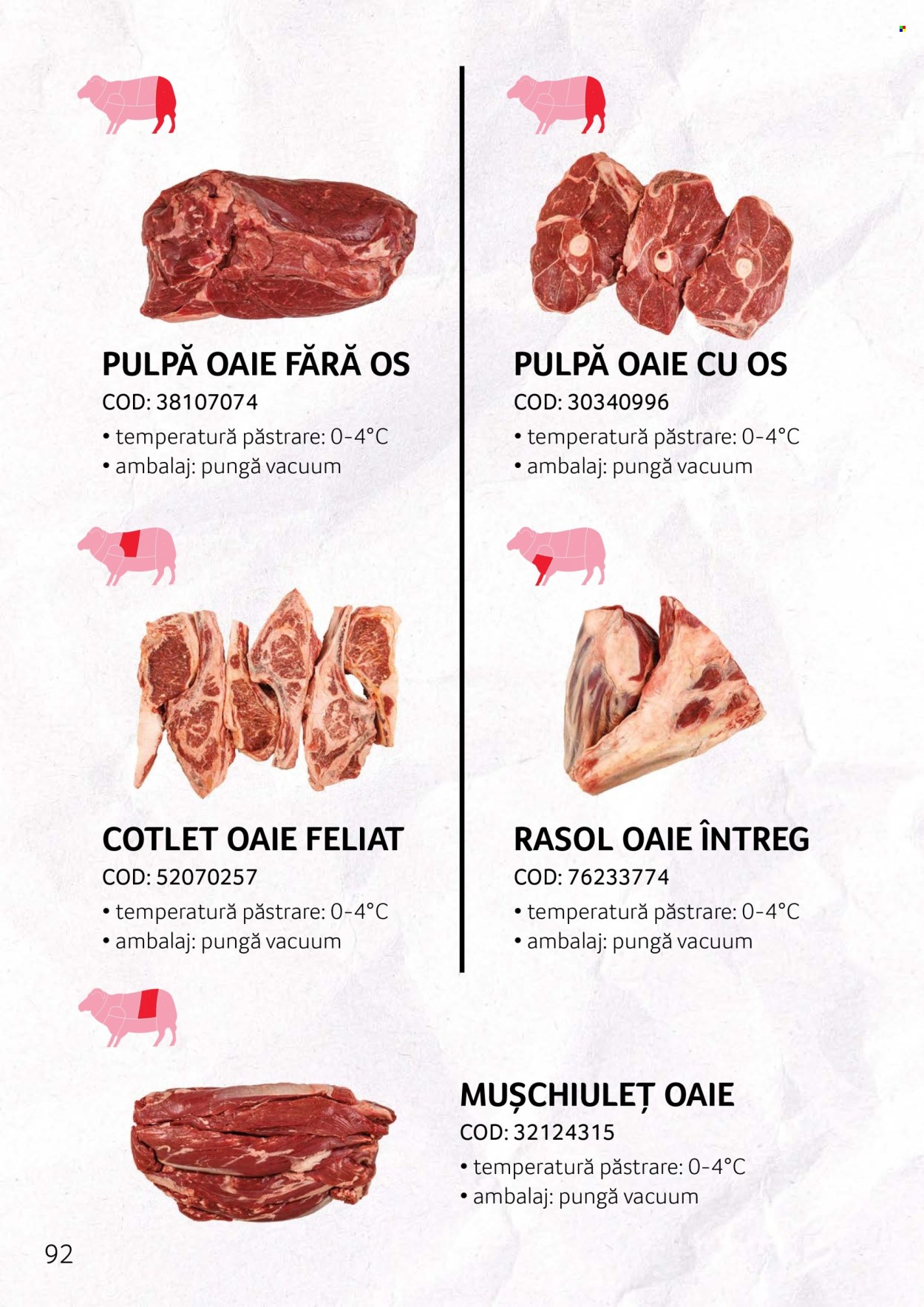 Cataloage Selgros . Pagina 92.