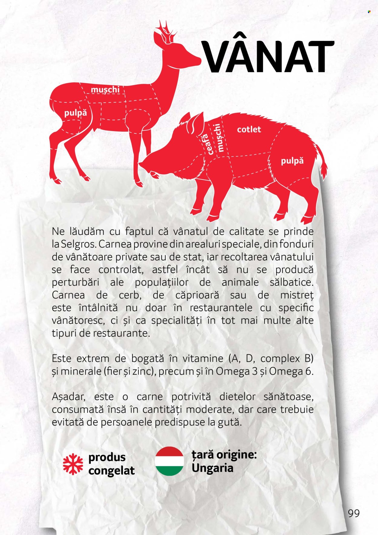 Cataloage Selgros . Pagina 99.