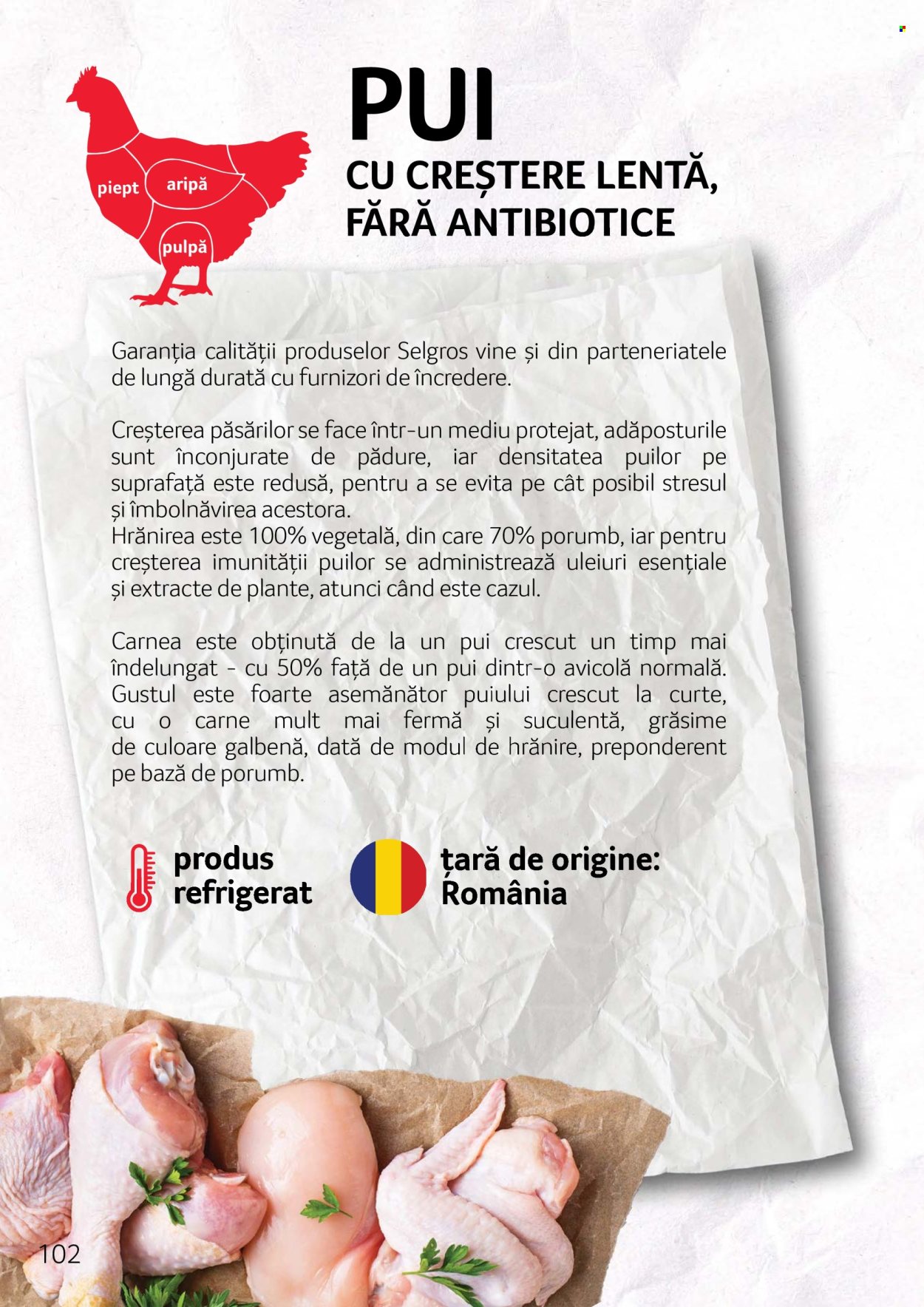 Cataloage Selgros . Pagina 102.
