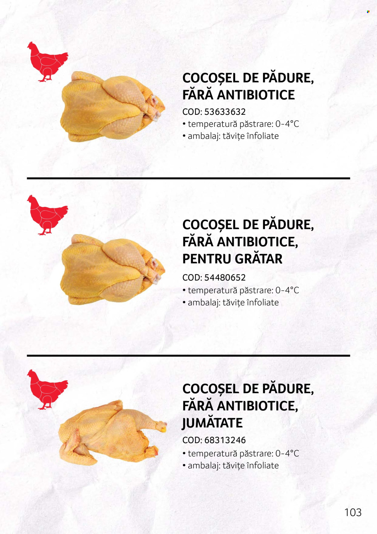 Cataloage Selgros . Pagina 103.
