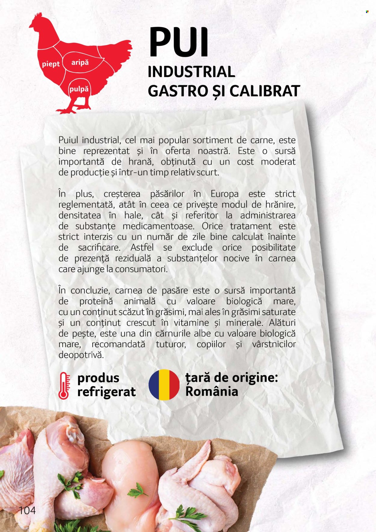 Cataloage Selgros . Pagina 104.