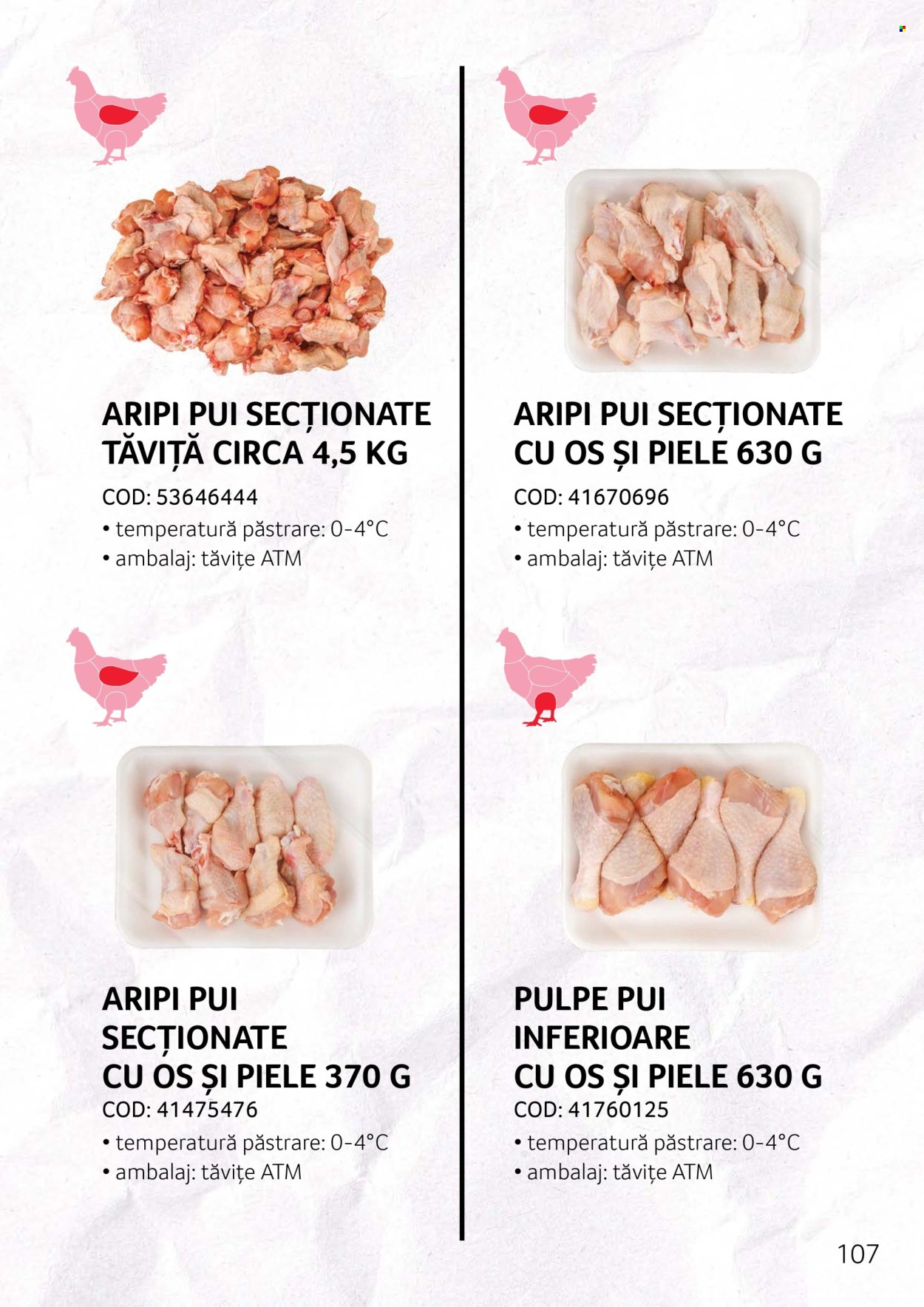Cataloage Selgros . Pagina 107.