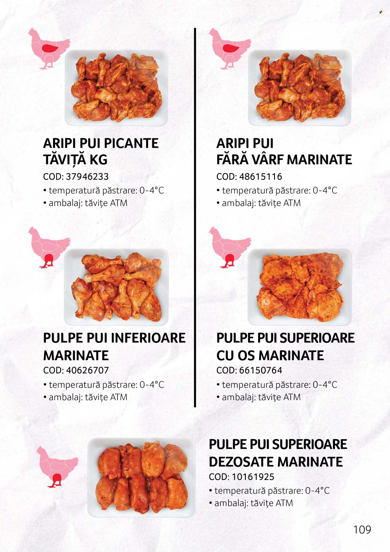 Cataloage Selgros . Pagina 109.