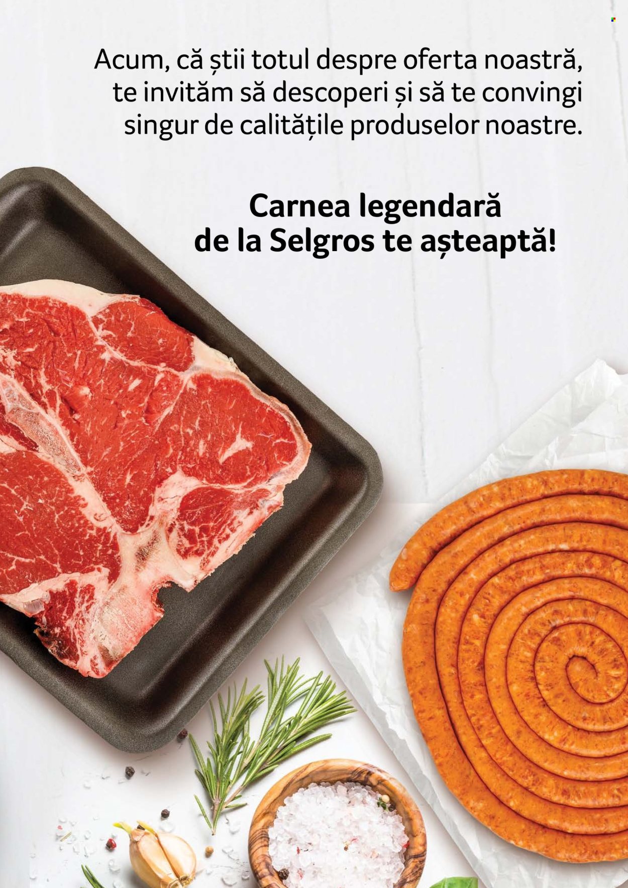 Cataloage Selgros . Pagina 111.