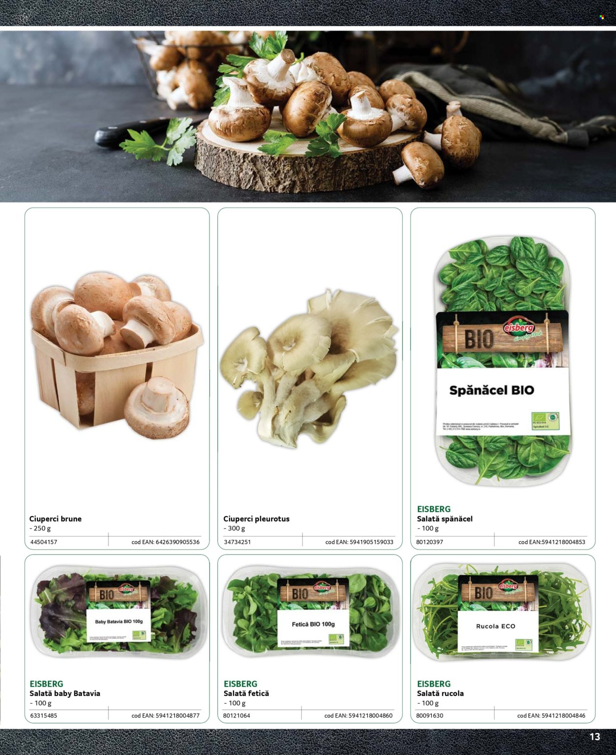 Cataloage Selgros . Pagina 13.
