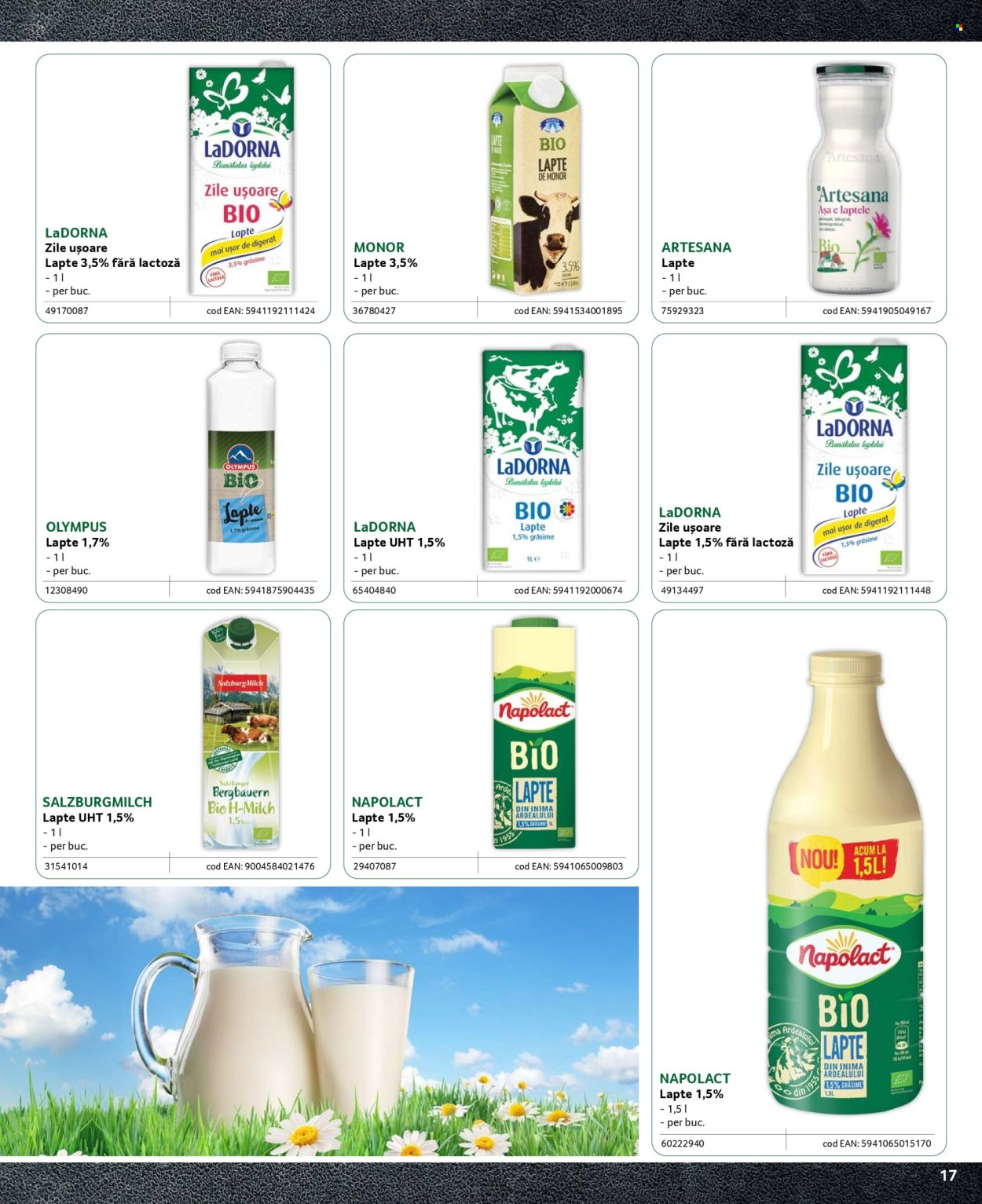Cataloage Selgros . Pagina 17.