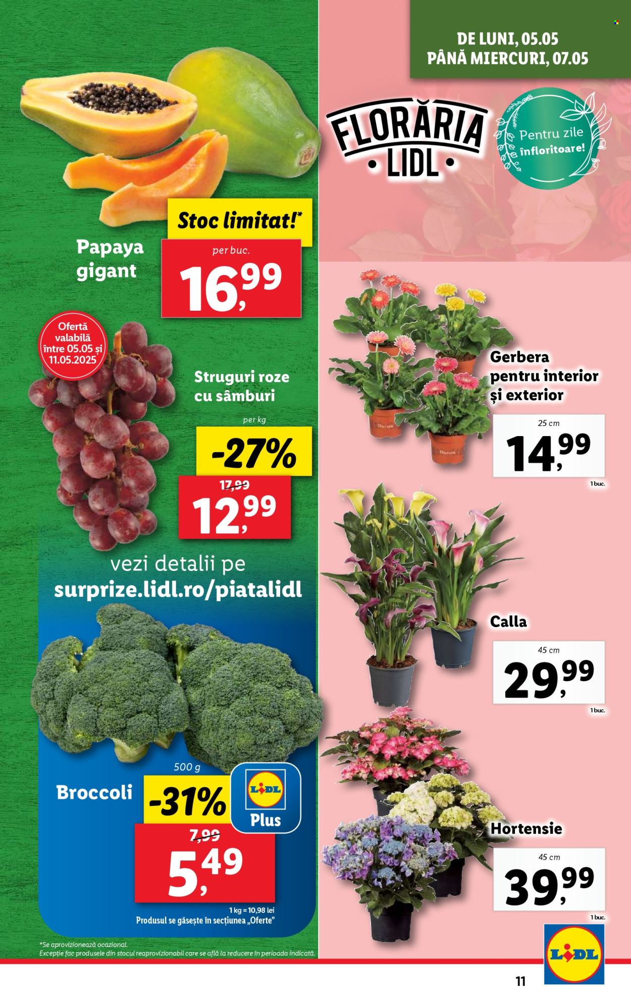 Cataloage Lidl  - 05.05.2025 - 11.05.2025. Pagina 11.