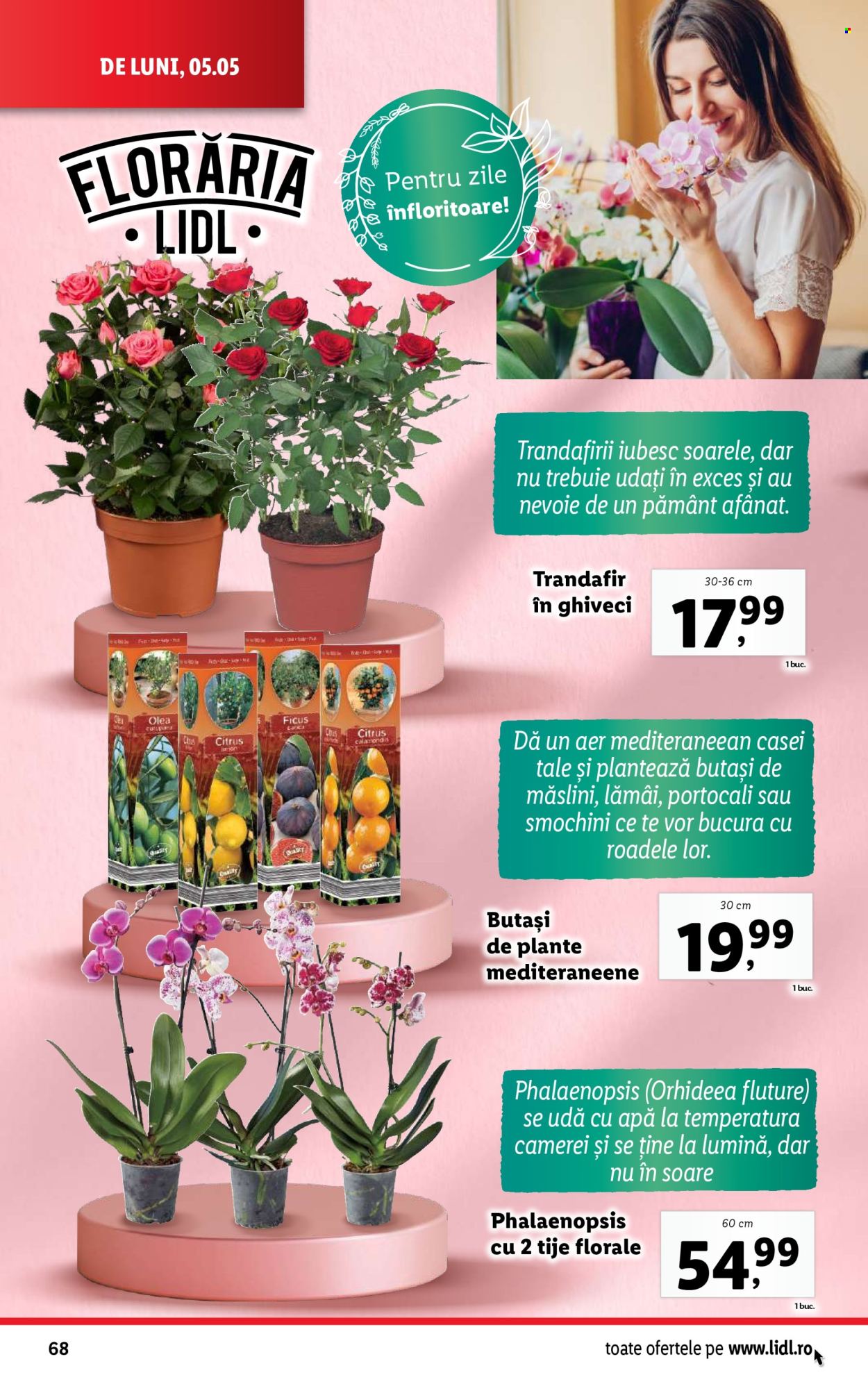 Cataloage Lidl  - 05.05.2025 - 11.05.2025. Pagina 68.