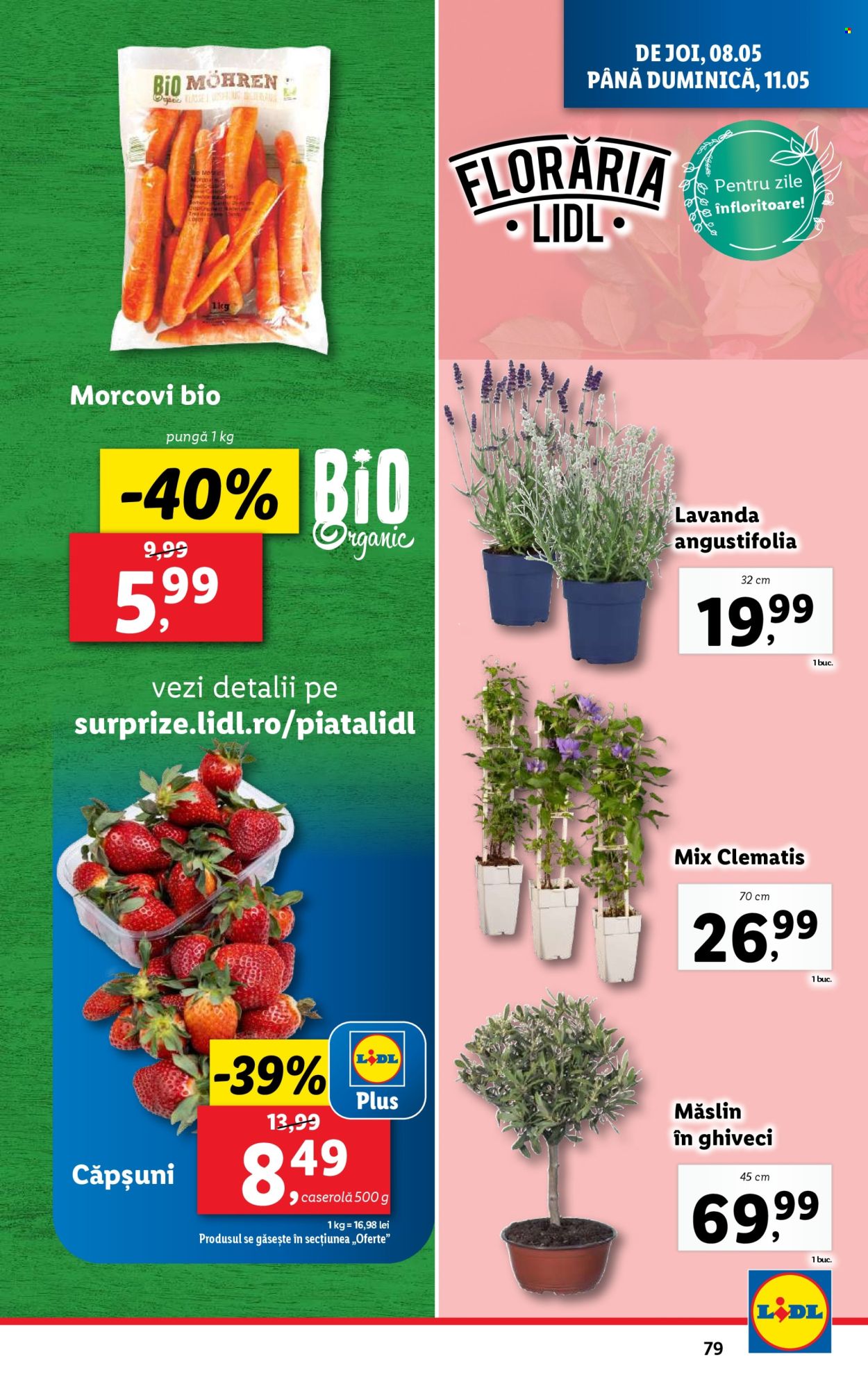 Cataloage Lidl  - 05.05.2025 - 11.05.2025. Pagina 79.