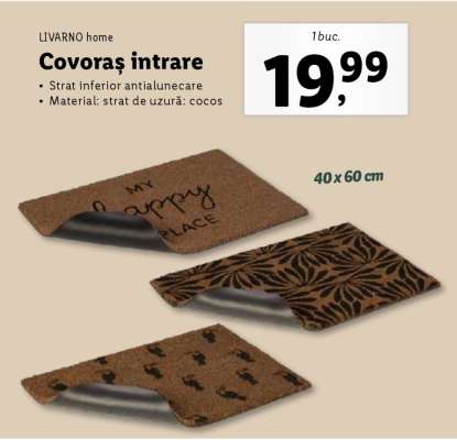 Covoraș intrare