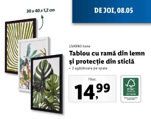 Tablou cu ramă din lemn și protecție din sticlă
