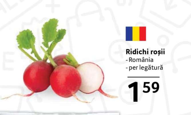 Ridichi roşii